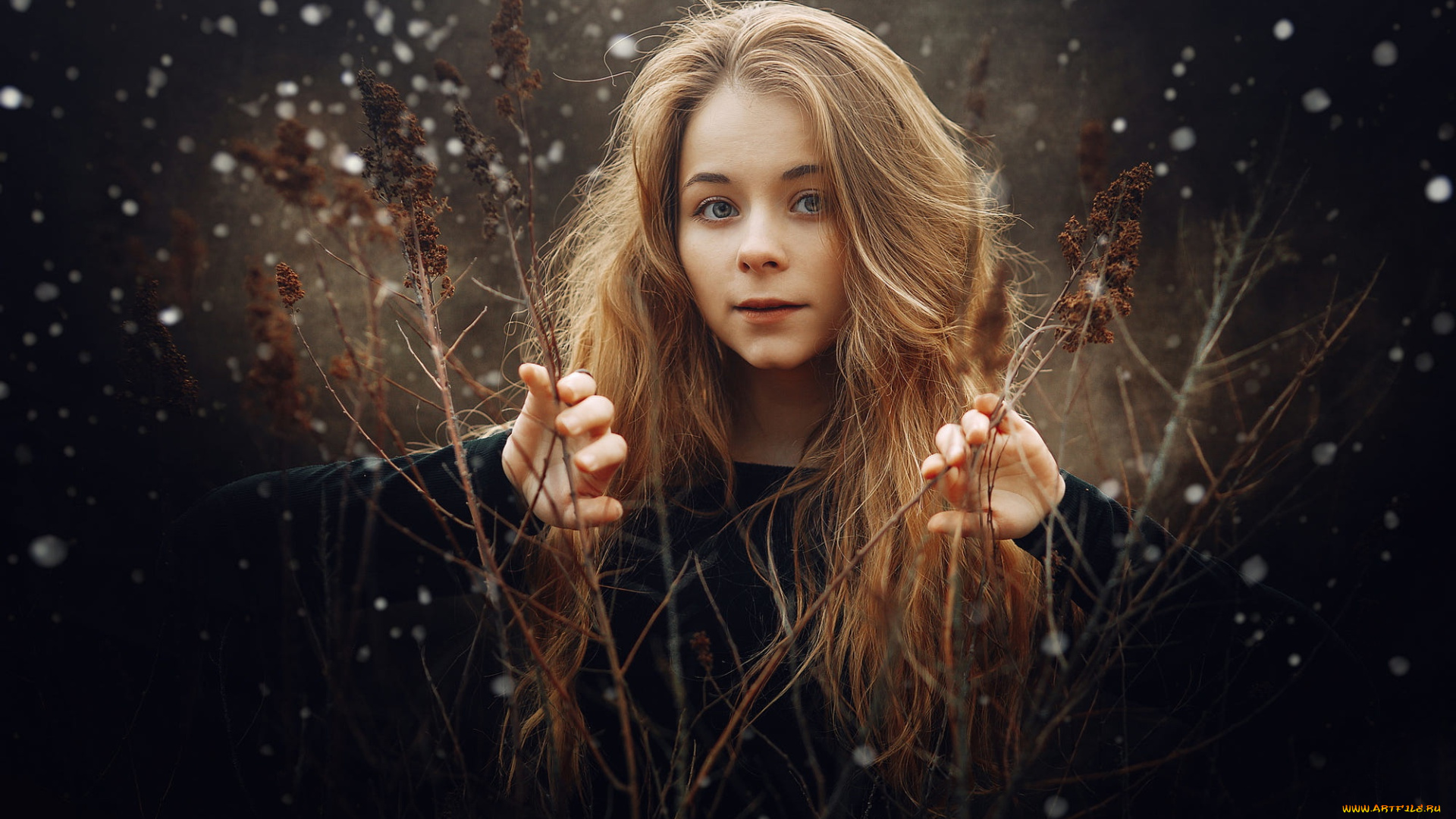 девушка, девушки, -unsort, , блондинки, , светловолосые, модель