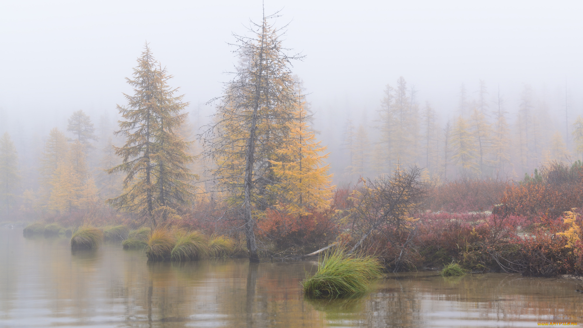 колыма, , озеро, джека, лондона, природа, реки, озера, лес, осень, джек, лондон, красота, озеро, пейзаж, вода