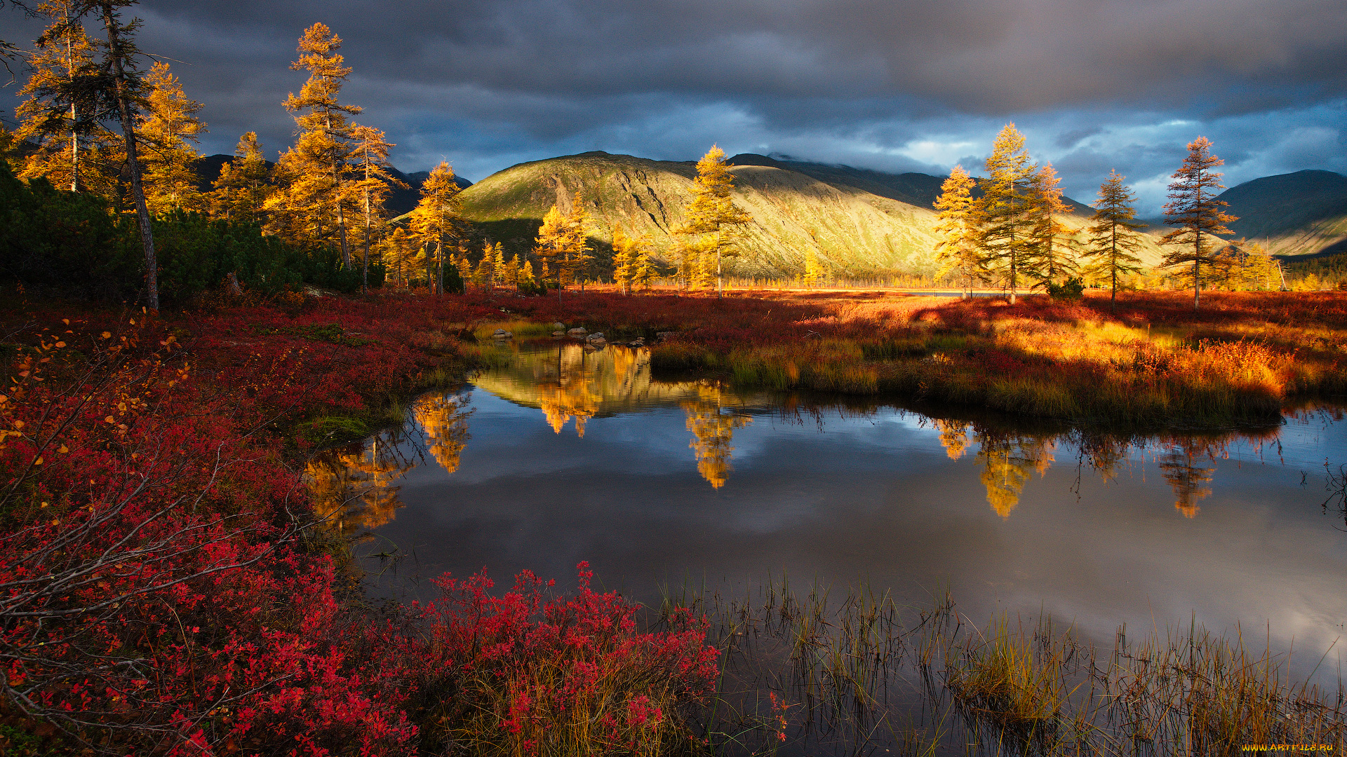 колыма, , озеро, джека, лондона, природа, реки, озера, красота, вода, осень, пейзаж, озеро, лес, джек, лондон