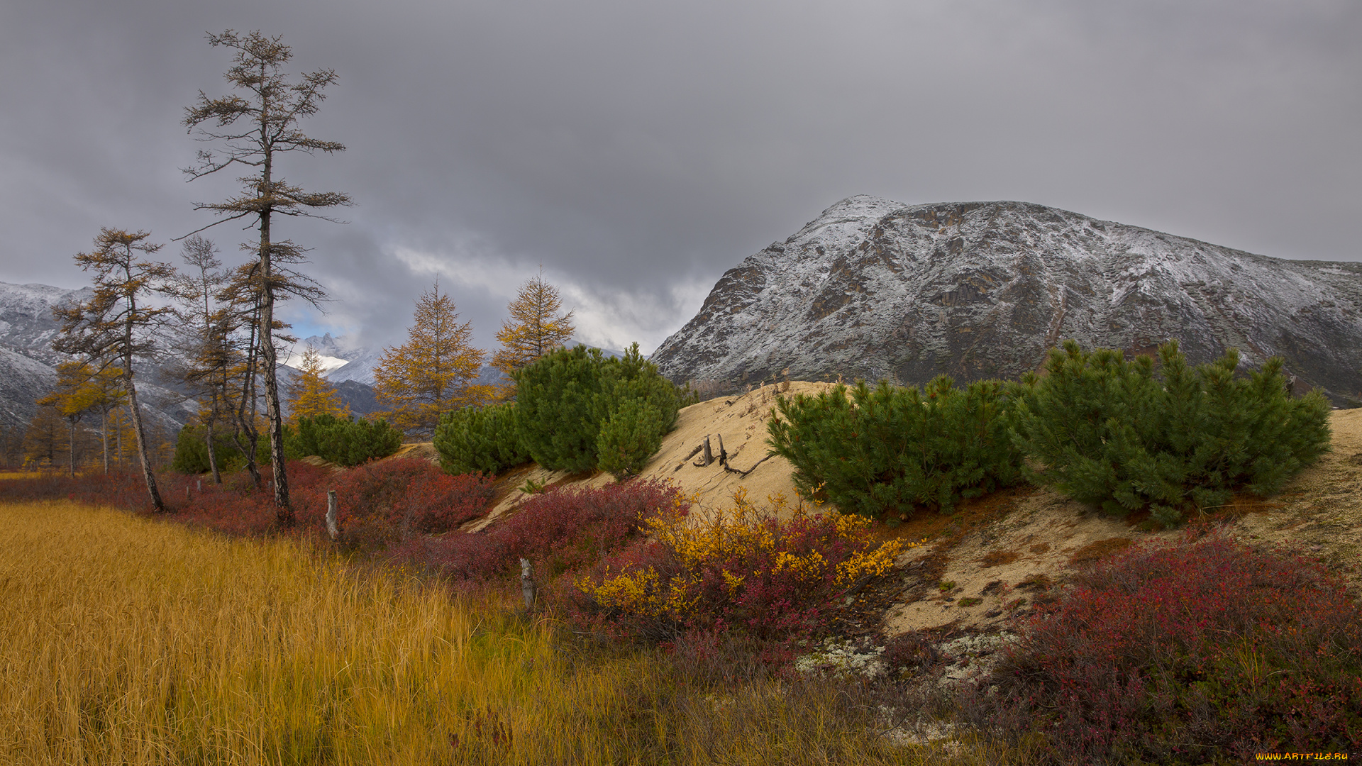 kolyma, природа, пейзажи, лес, горы, осень, красота, край, вид, пейзаж