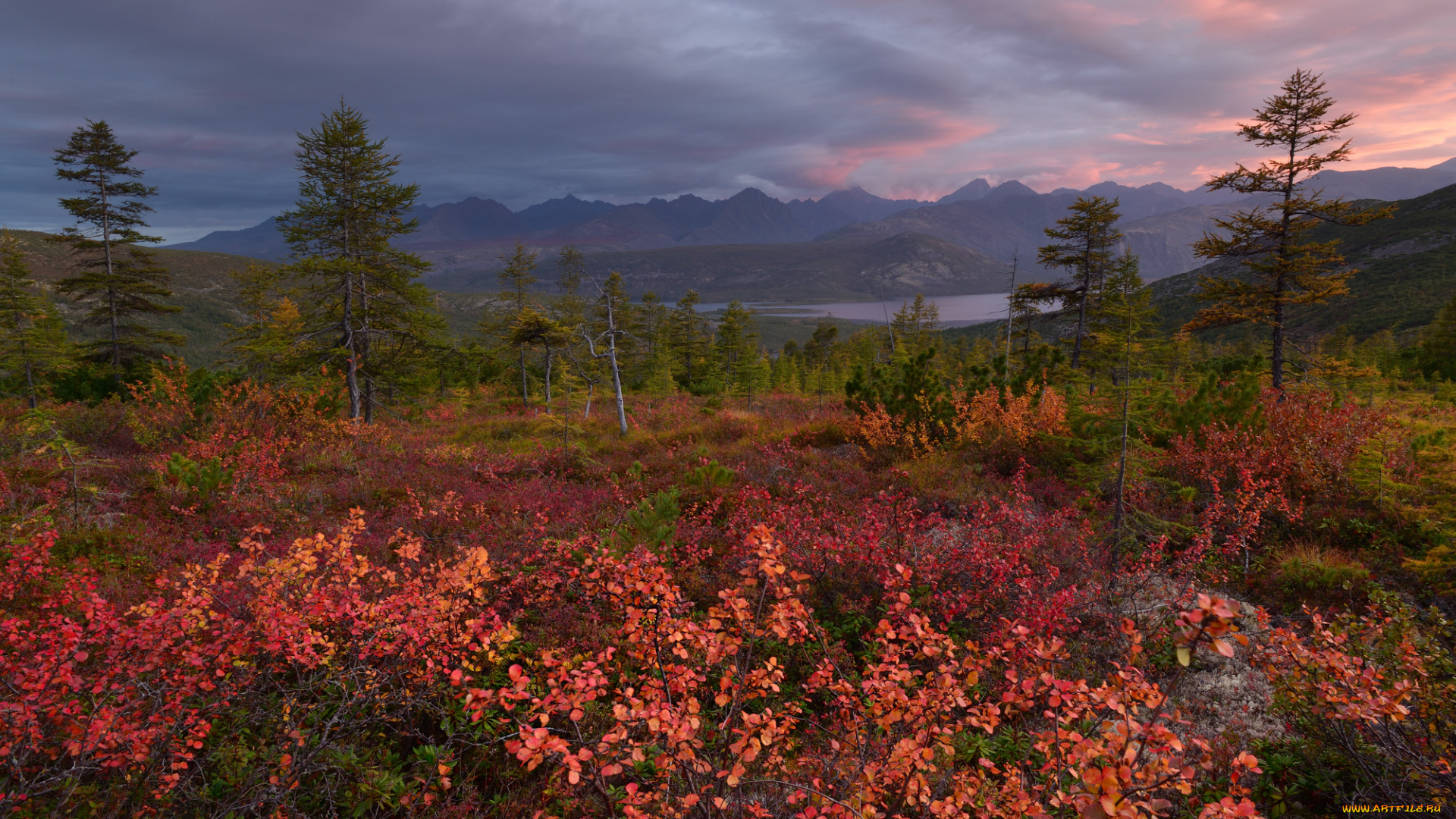 kolyma, природа, пейзажи, пейзаж, вид, река, осень, красота, край