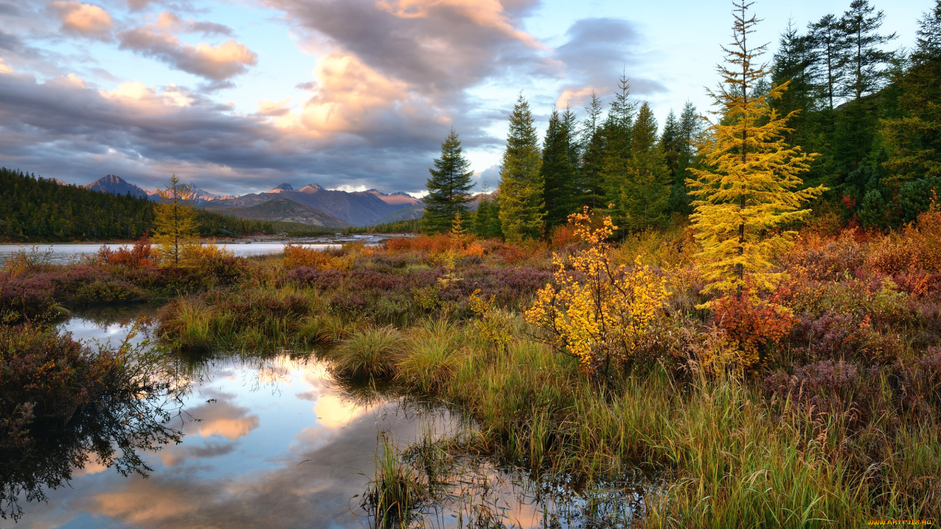 kolyma, природа, реки, озера, осень, вид, пейзаж, край, красота, река