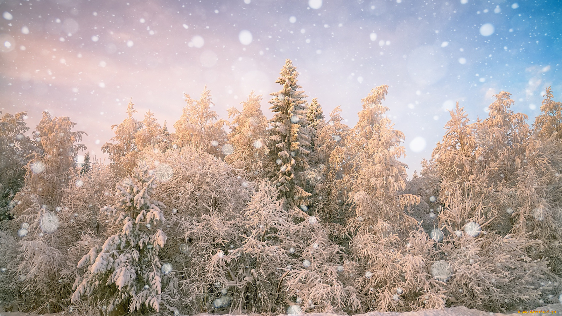 природа, зима, лес, снег