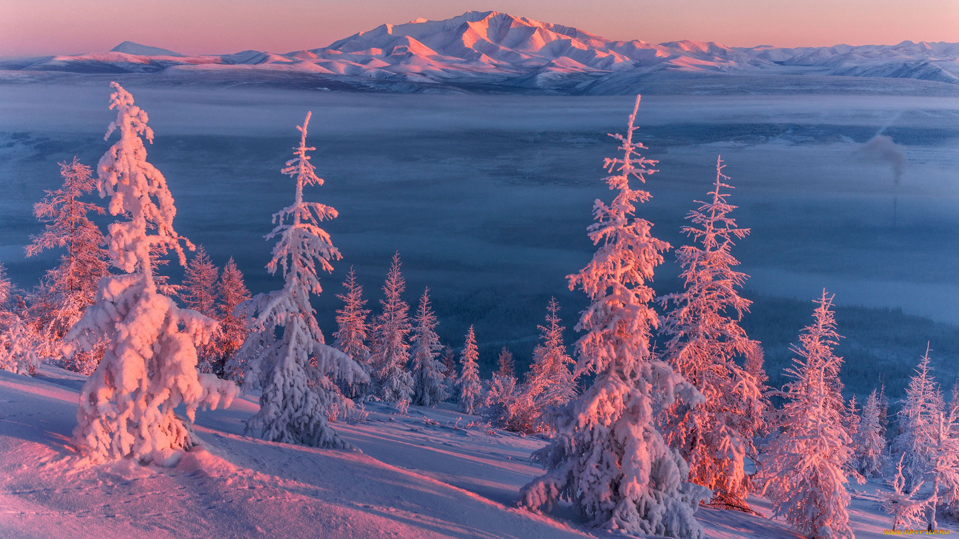 Якутия, , оймяконский, район, природа, зима, холод, оймяконский, мороз, закат, вече, район, снег, деревья, пейзаж
