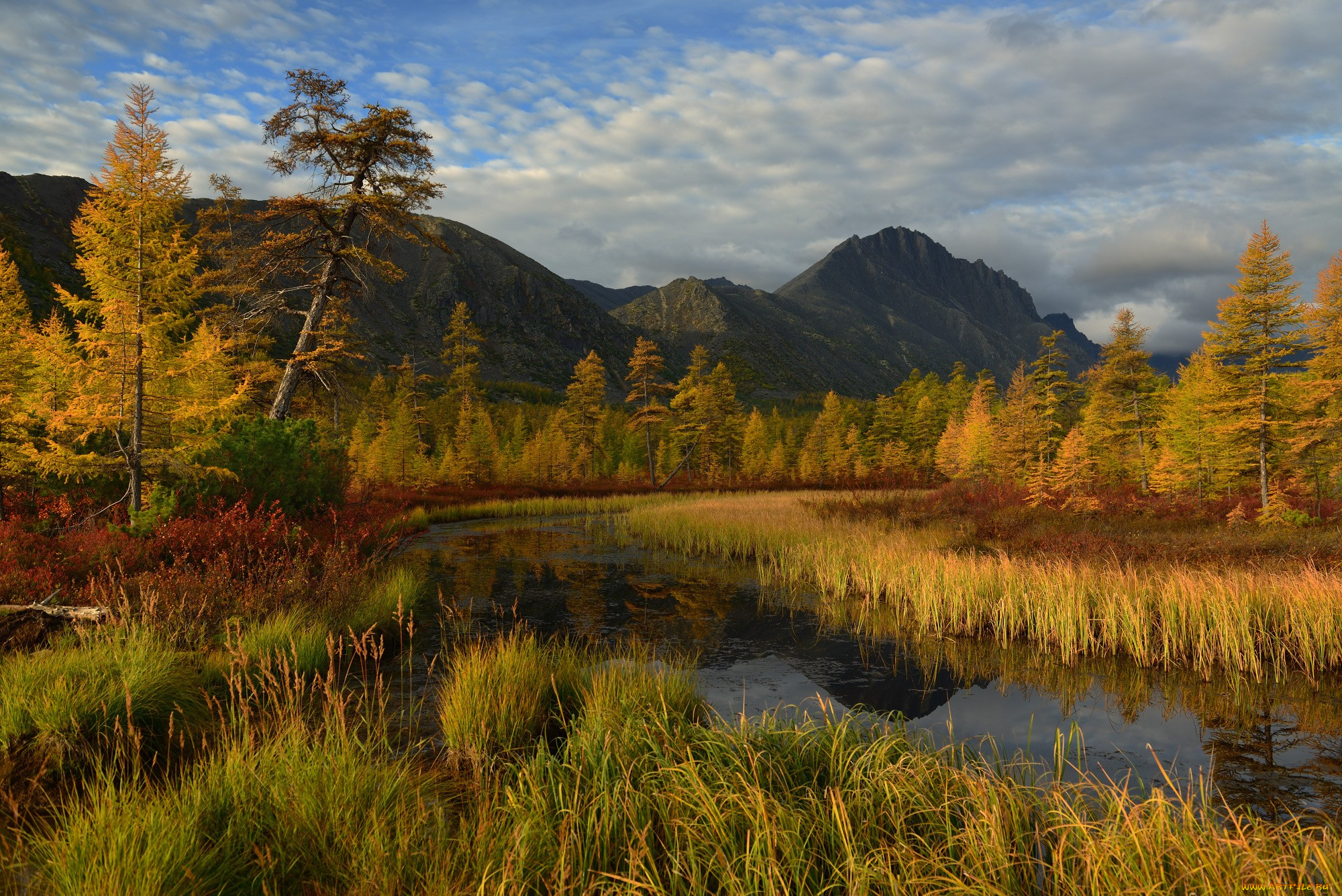колыма, , озеро, джека, лондона, природа, реки, озера, пейзаж, вода, осень, джек, лондон, озеро, лес, красота