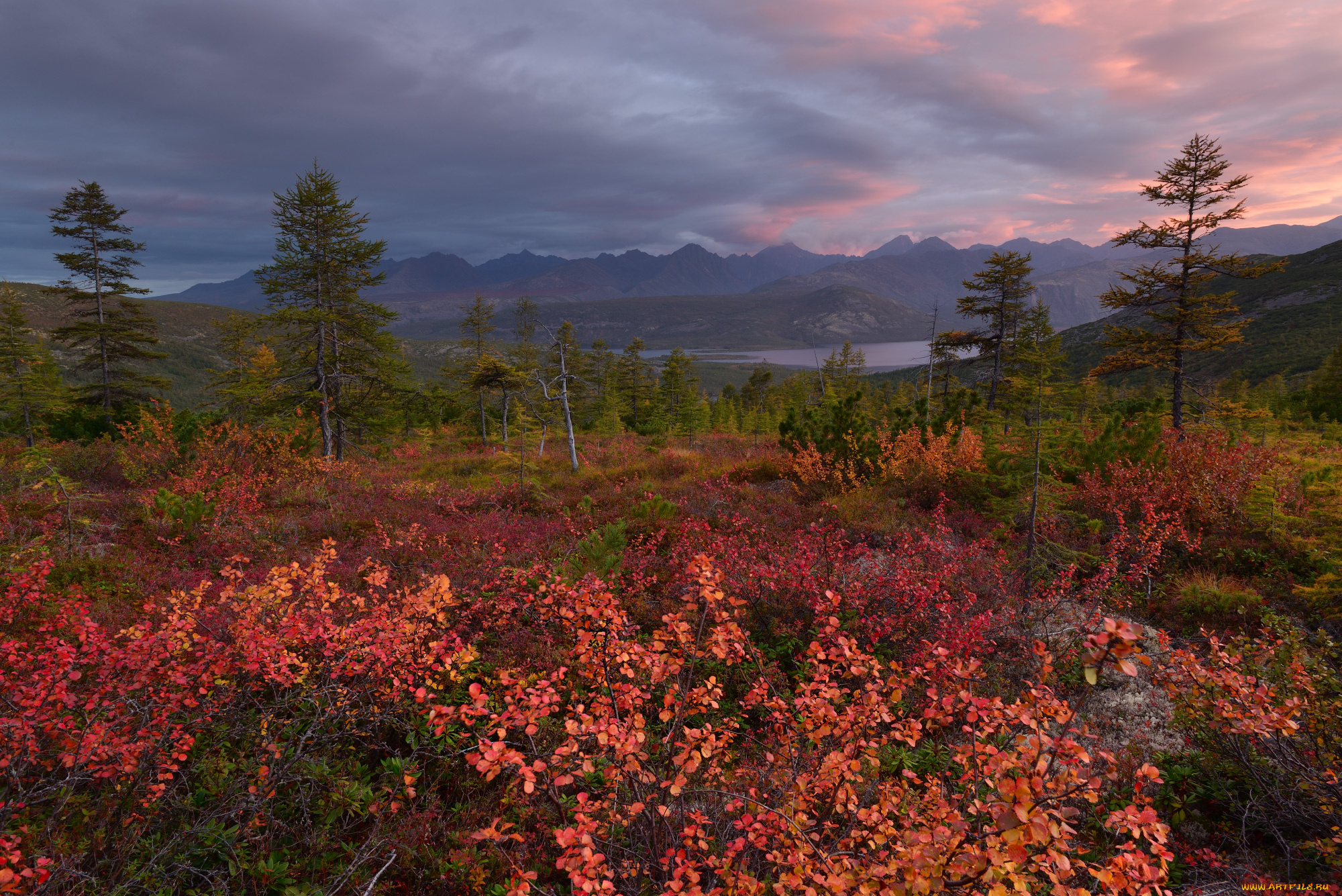kolyma, природа, пейзажи, пейзаж, вид, река, осень, красота, край