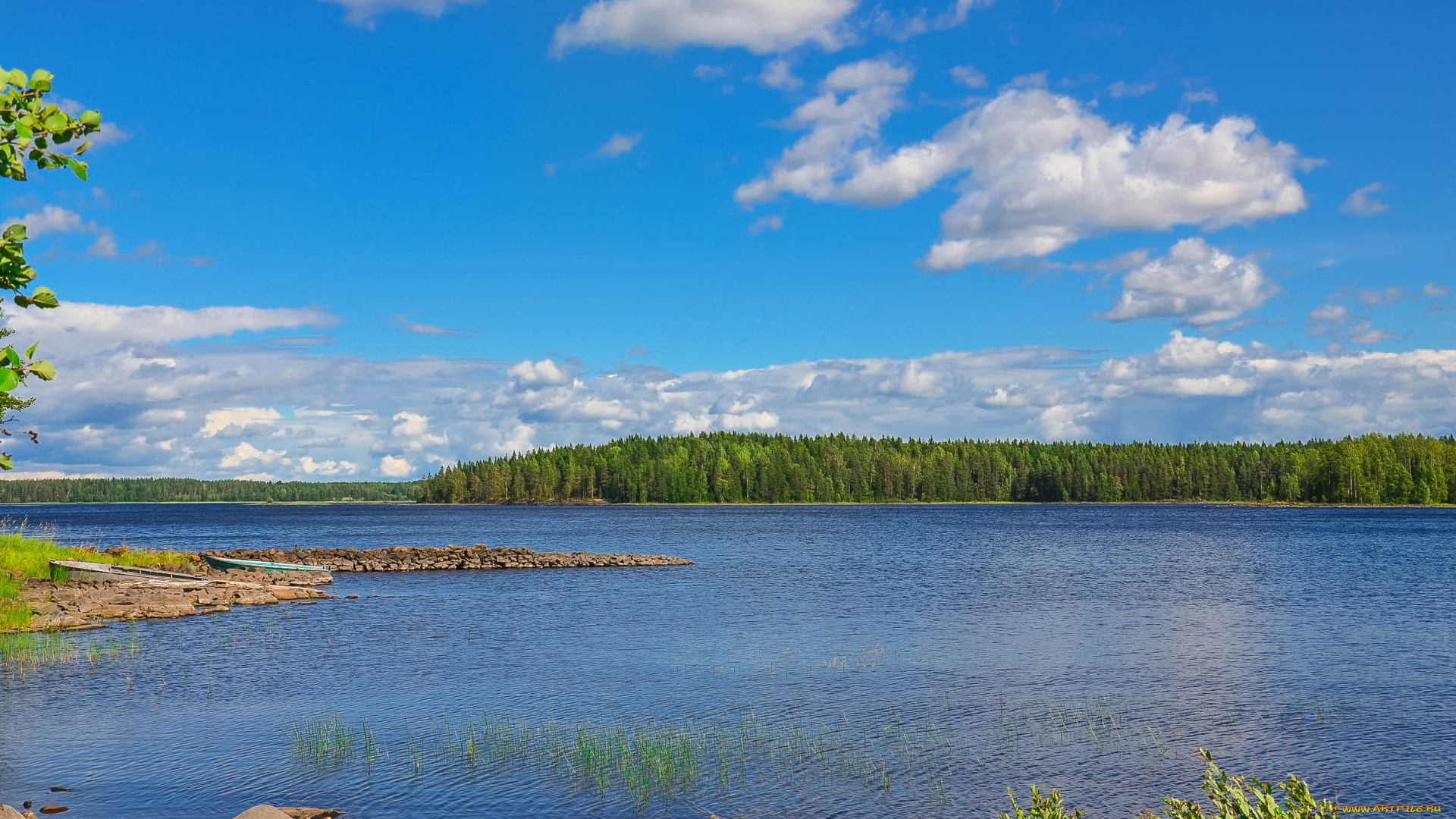 карелия, природа, реки, озера, берег, лес, озеро, россия