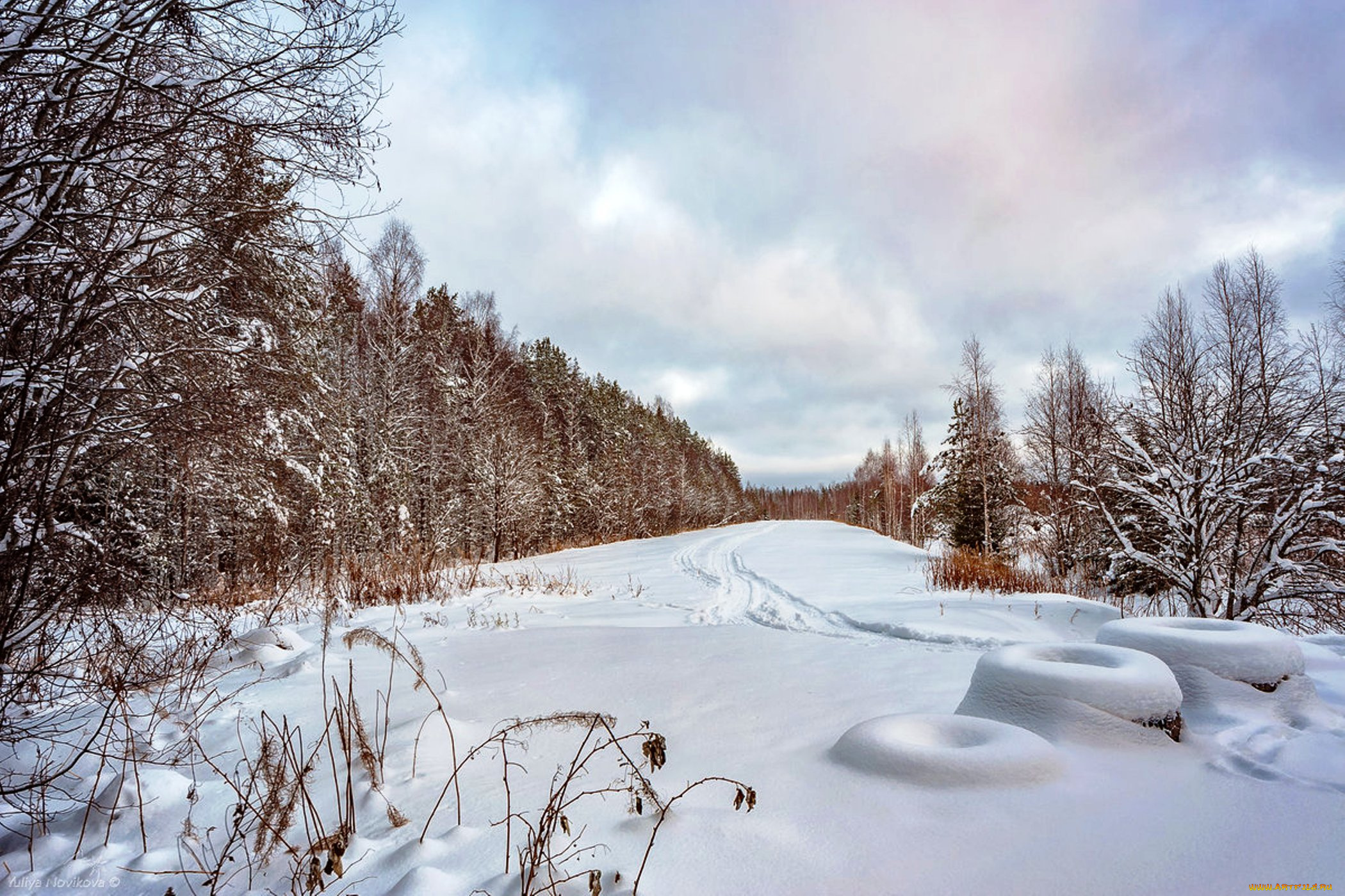 природа, зима, деревья, лес