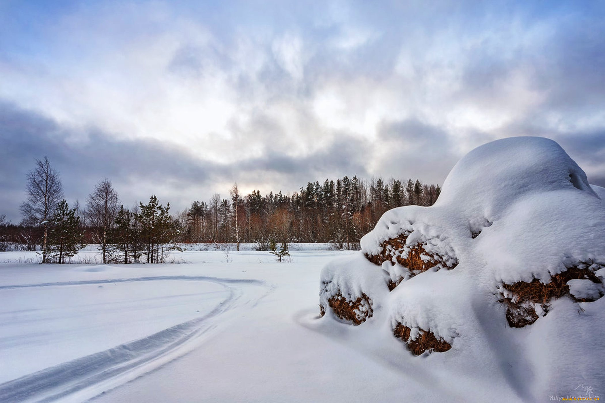 природа, зима, лес, деревья