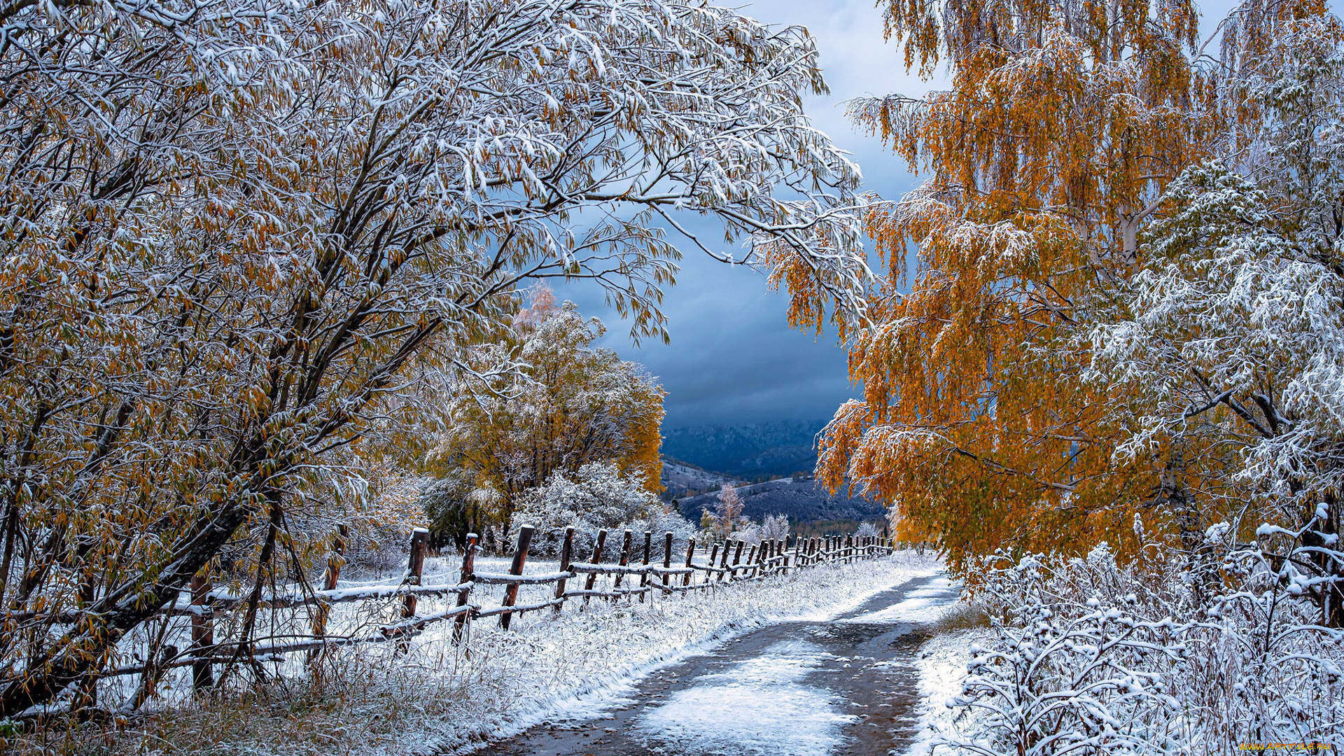 природа, зима, снег, сугробы