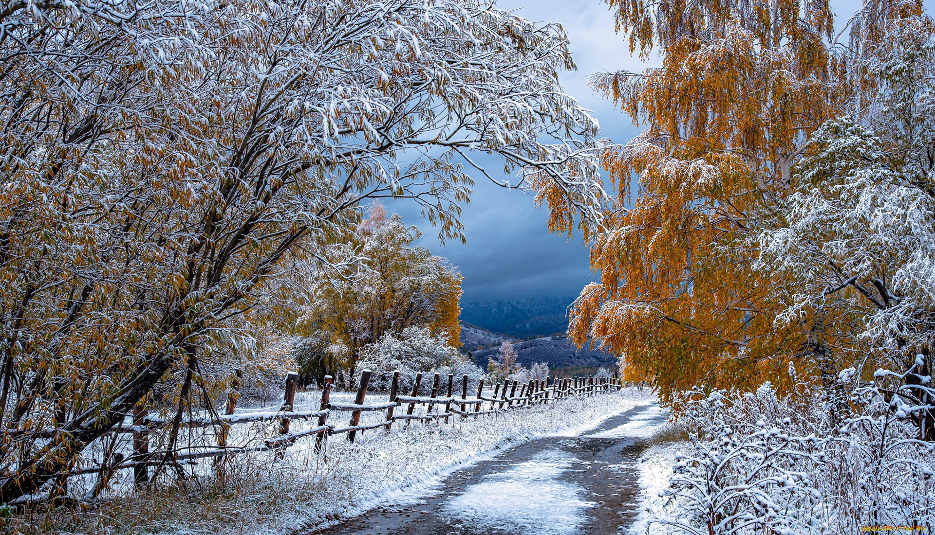 природа, зима, снег, сугробы