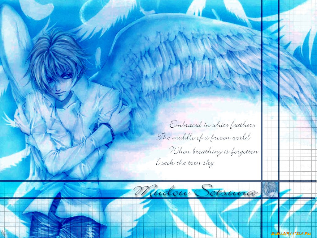 аниме, angel, sanctuary