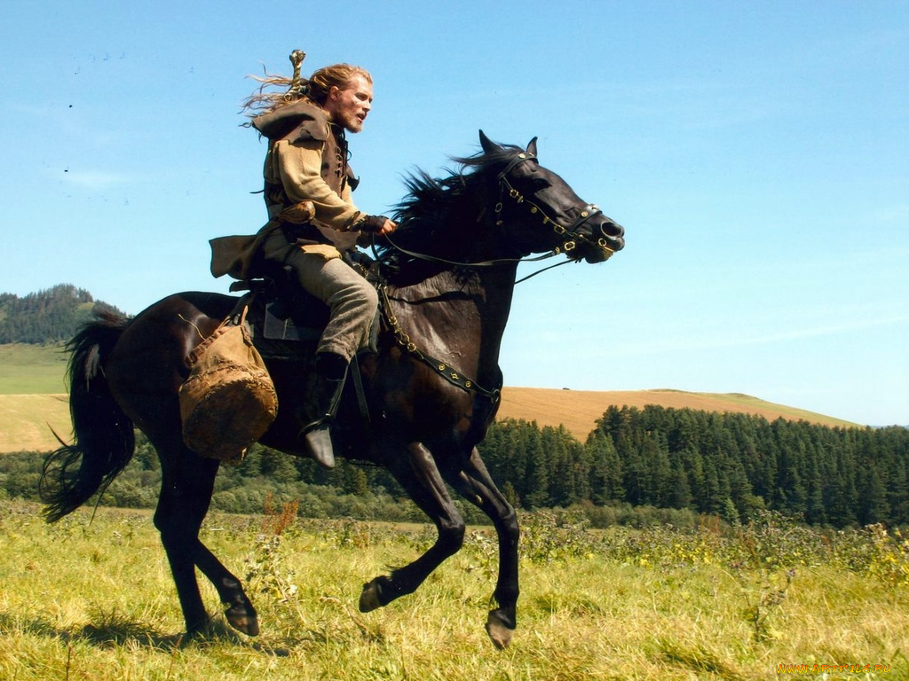 кино, фильмы, волкодав