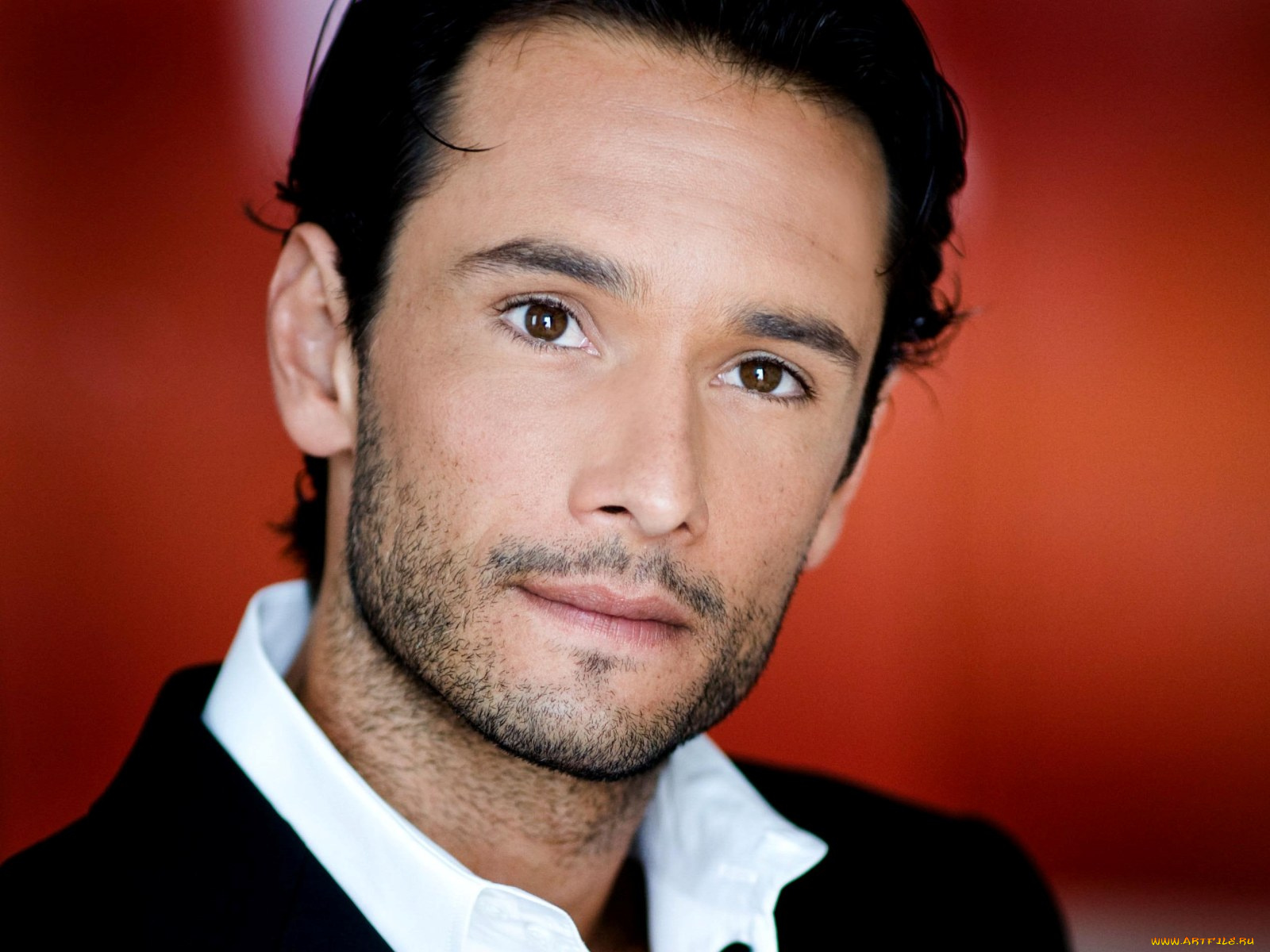 rodrigo, santoro, мужчины