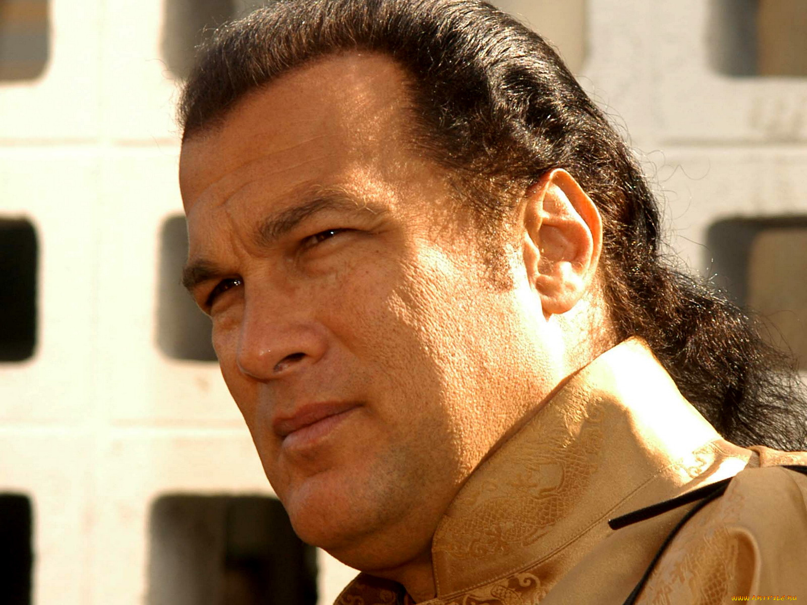 steven, seagal, мужчины