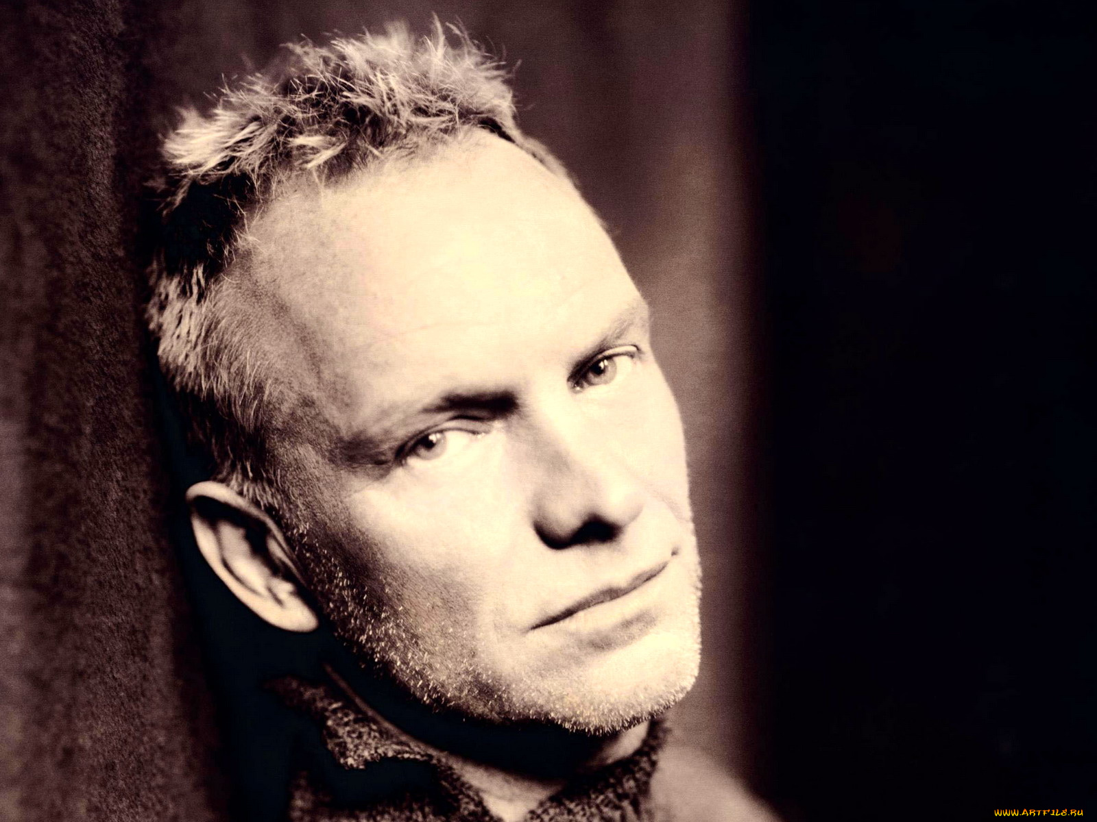 sting, музыка