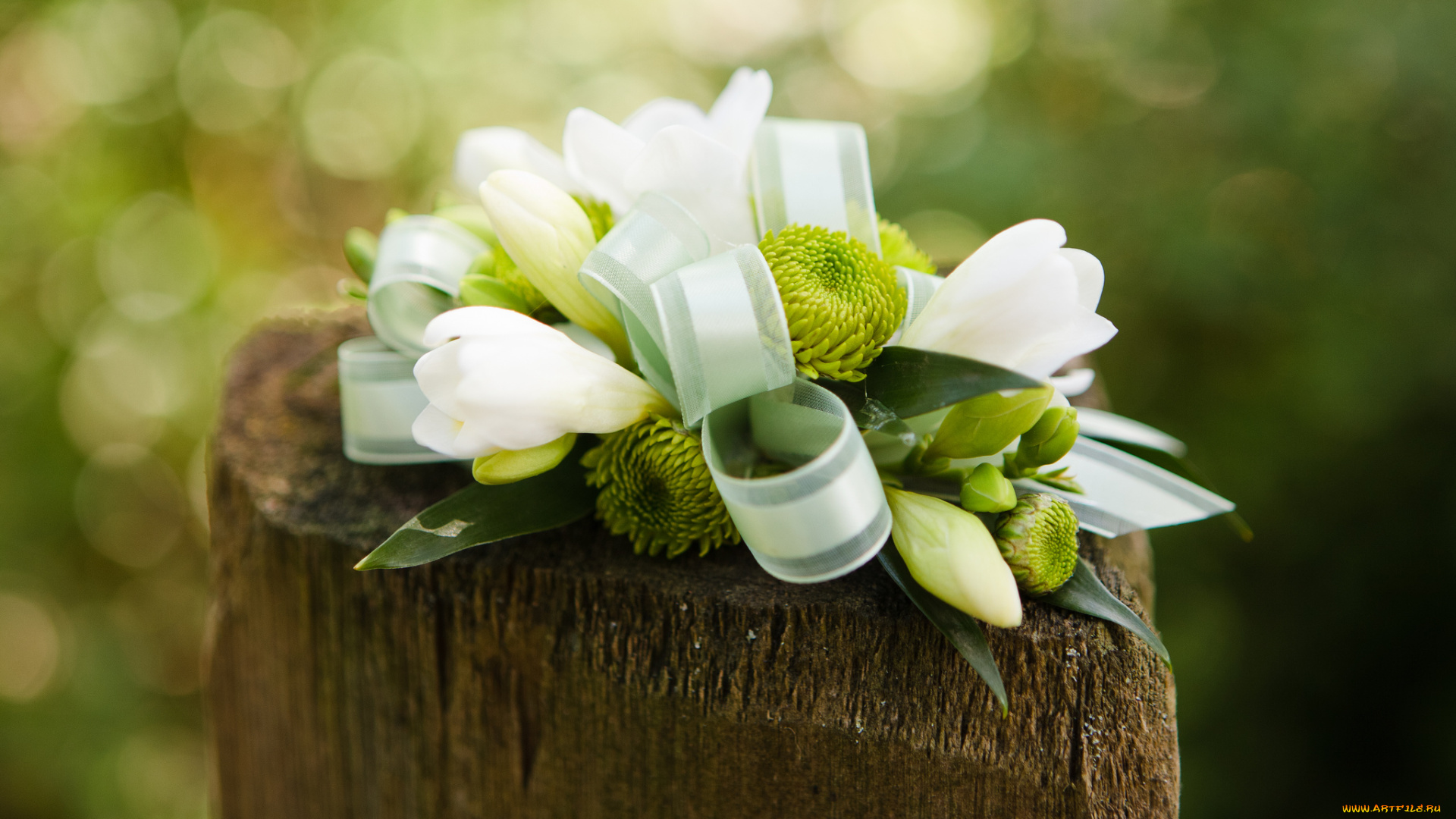 цветы, букеты, , композиции, букет