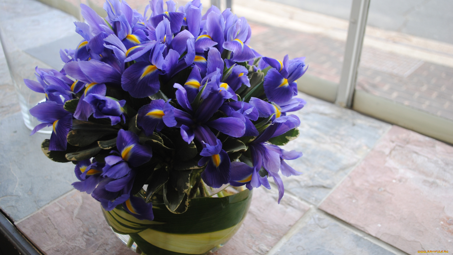 цветы, букеты, , композиции, букет, ирис