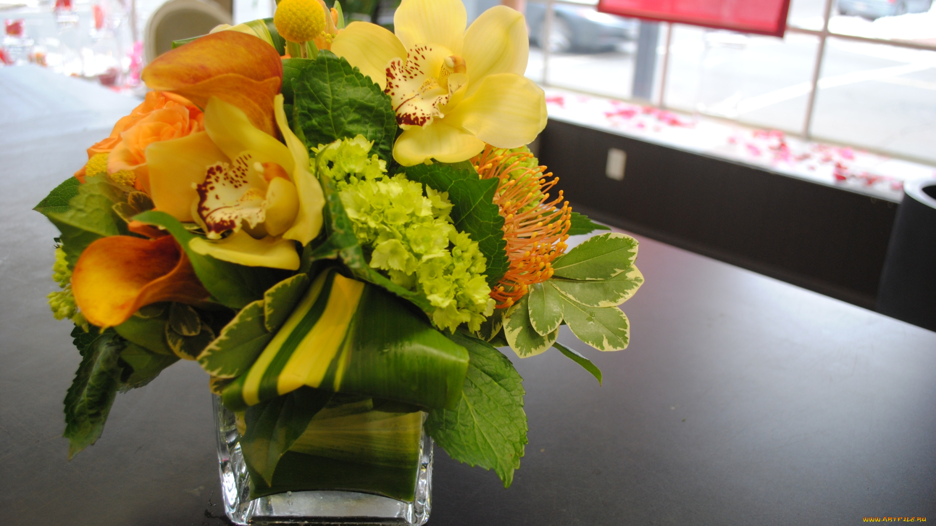 цветы, букеты, , композиции, каллы, букет, орхидея