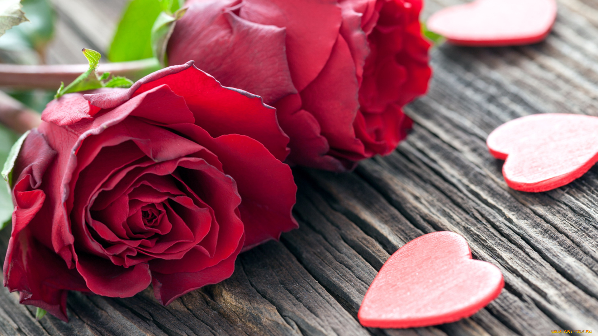цветы, розы, сердечки
