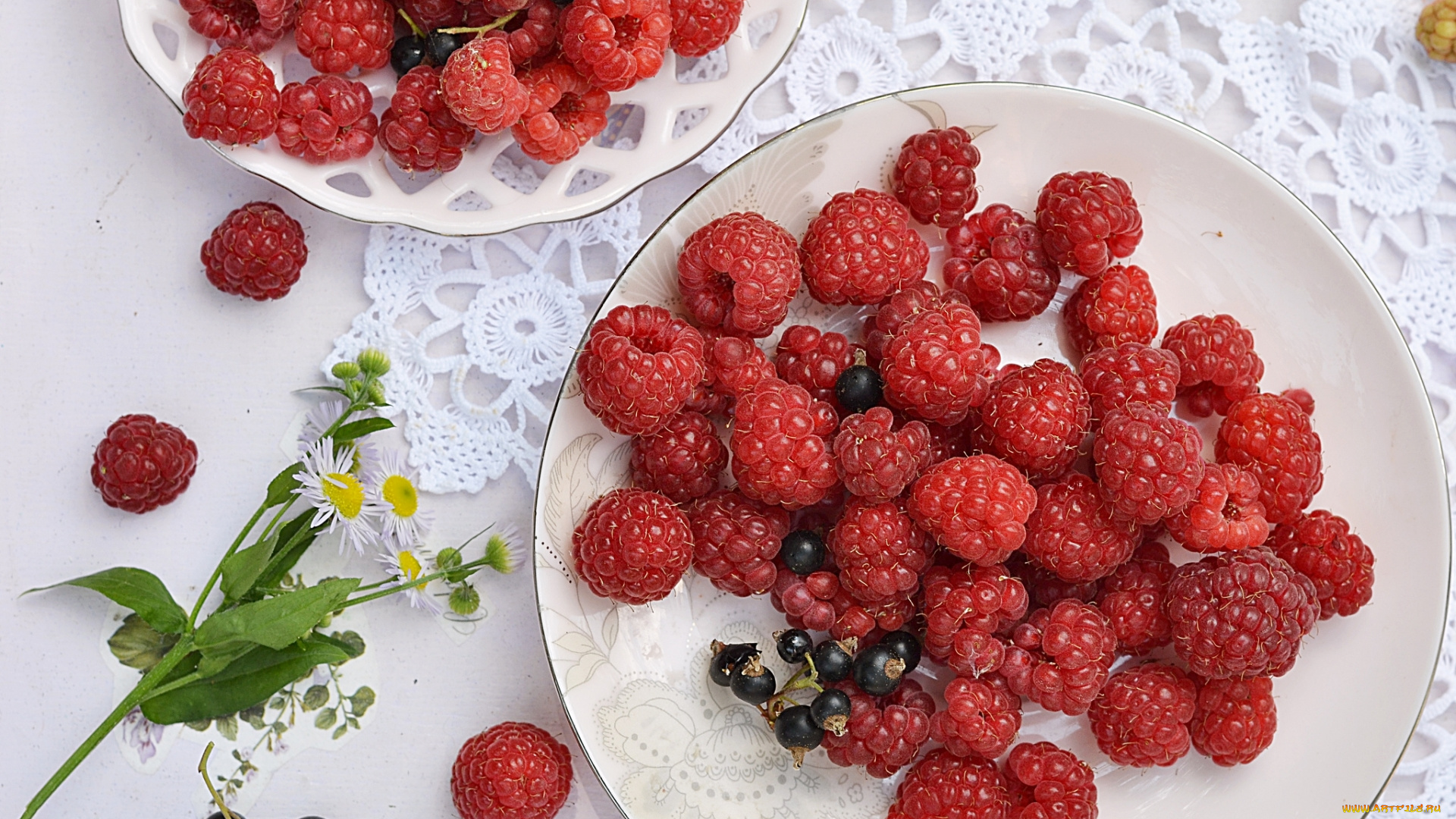 еда, фрукты, , ягоды, ягоды, малина, смородина, ромашка