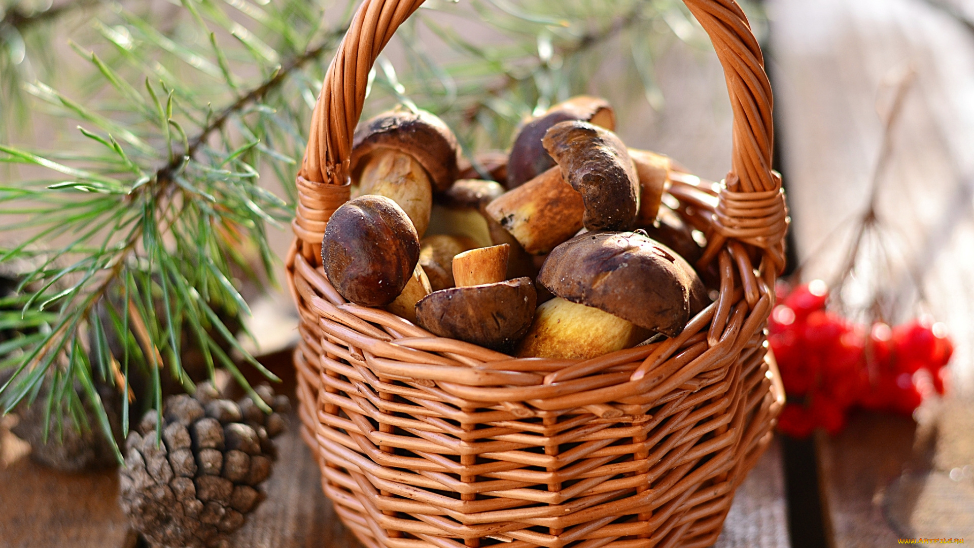 еда, грибы, , грибные, блюда, корзина, шишка, ветка