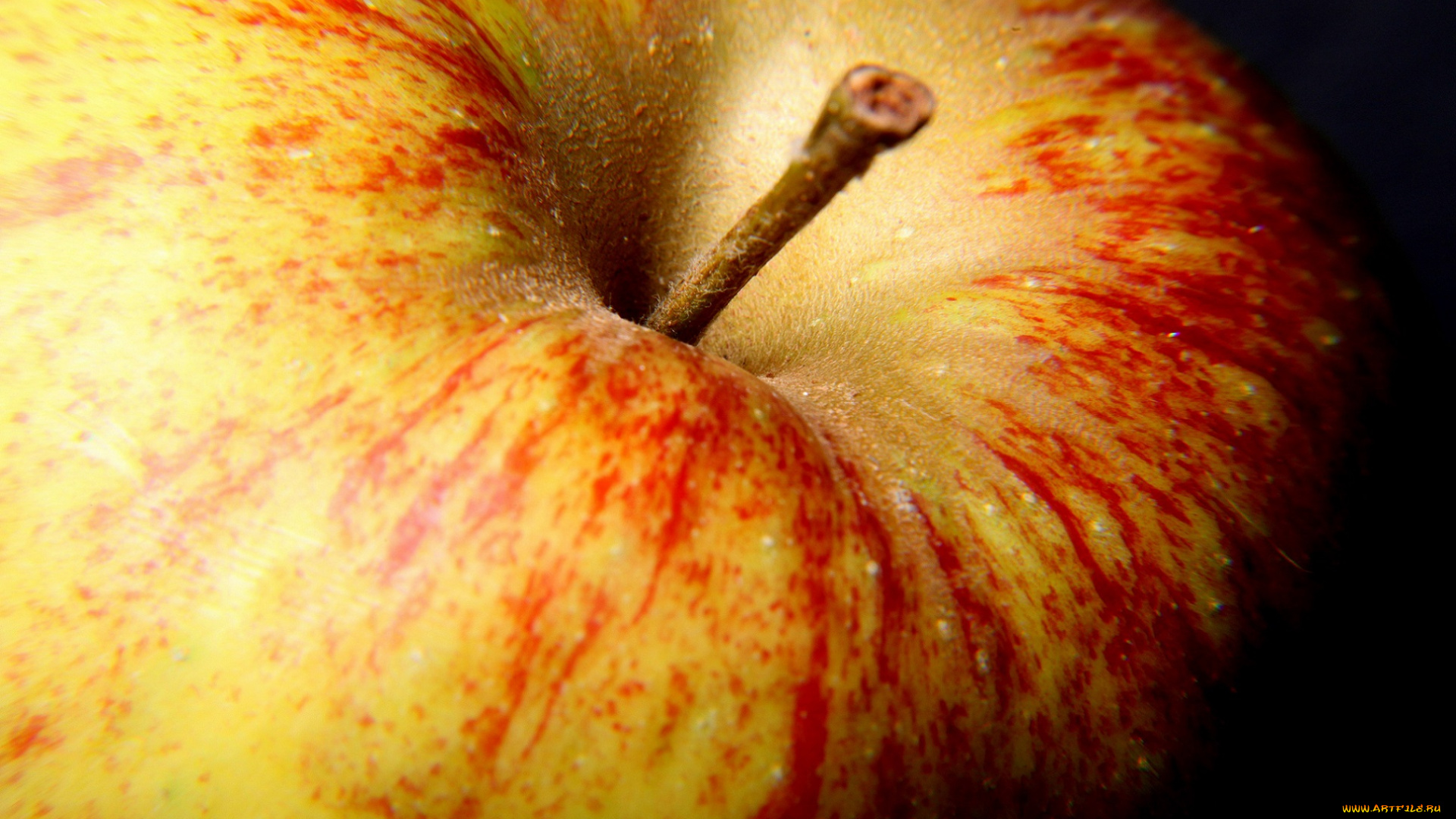 еда, Яблоки, яблоко, макро, полоски