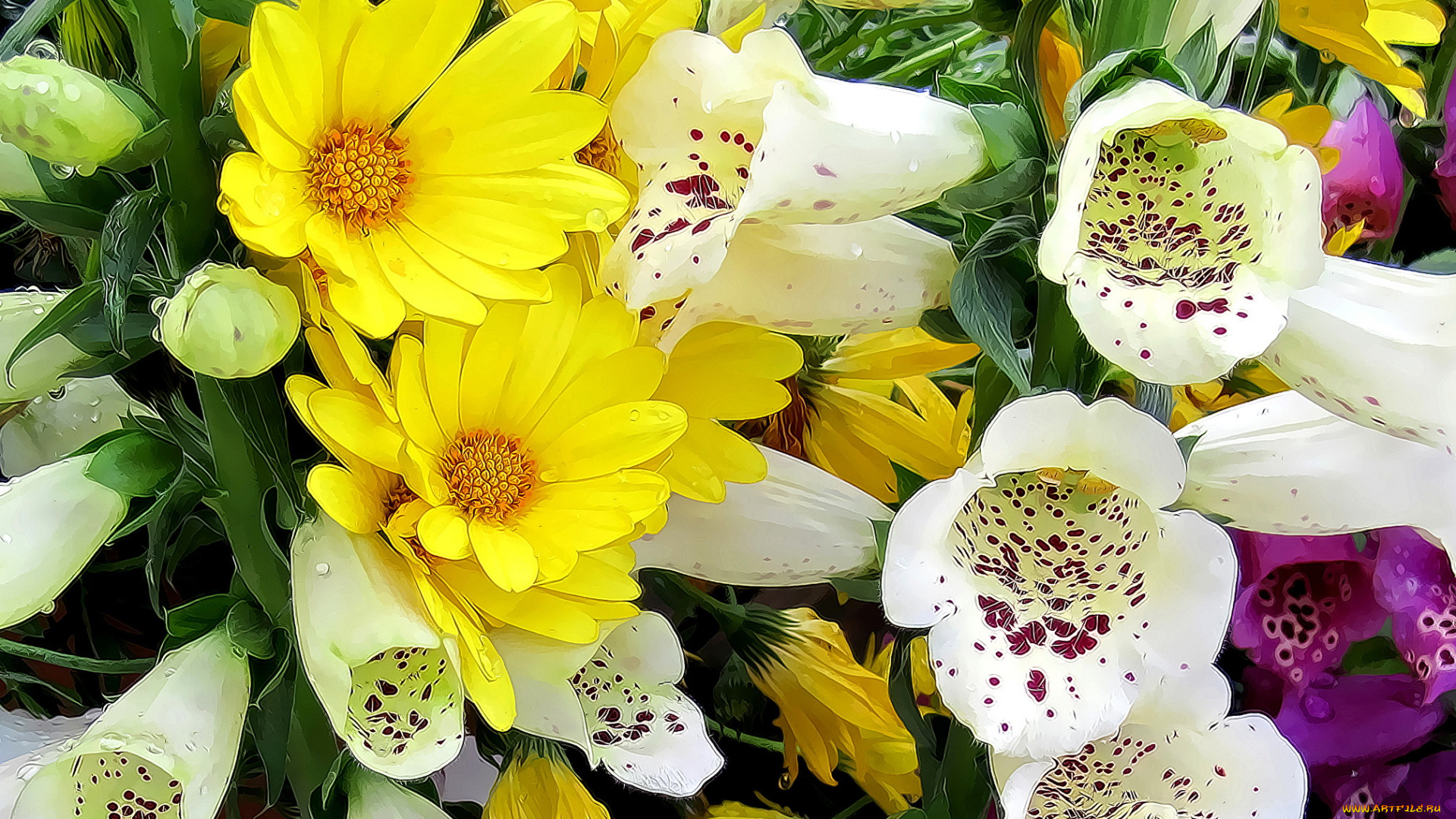 разное, компьютерный, дизайн, цветы