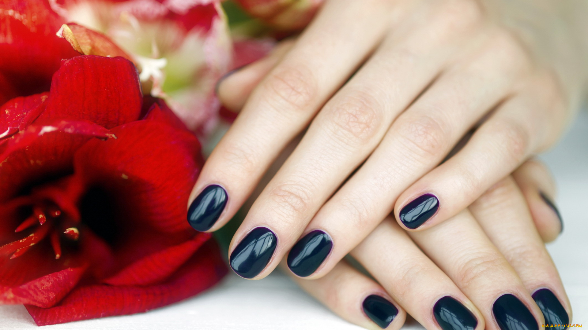 разное, руки, маникюр
