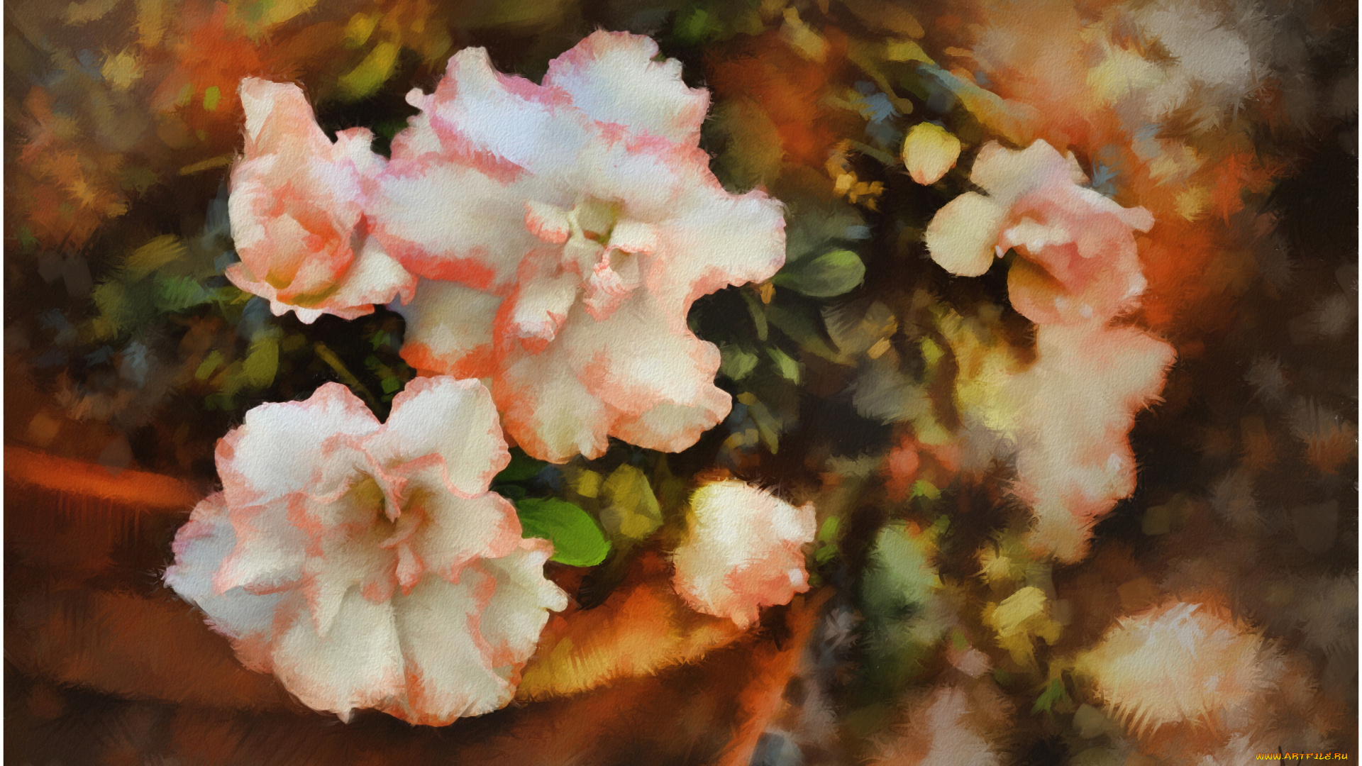 рисованные, цветы, бегония