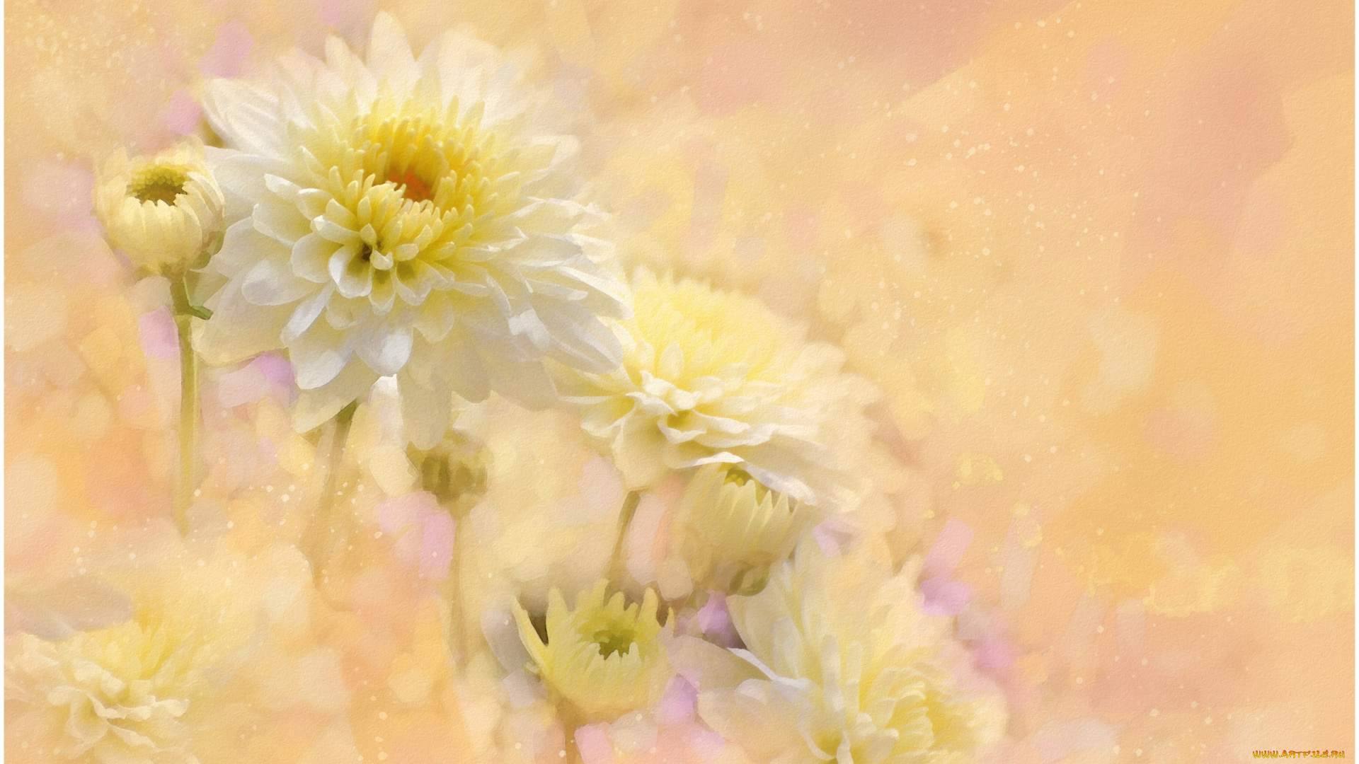 рисованные, цветы, георгины