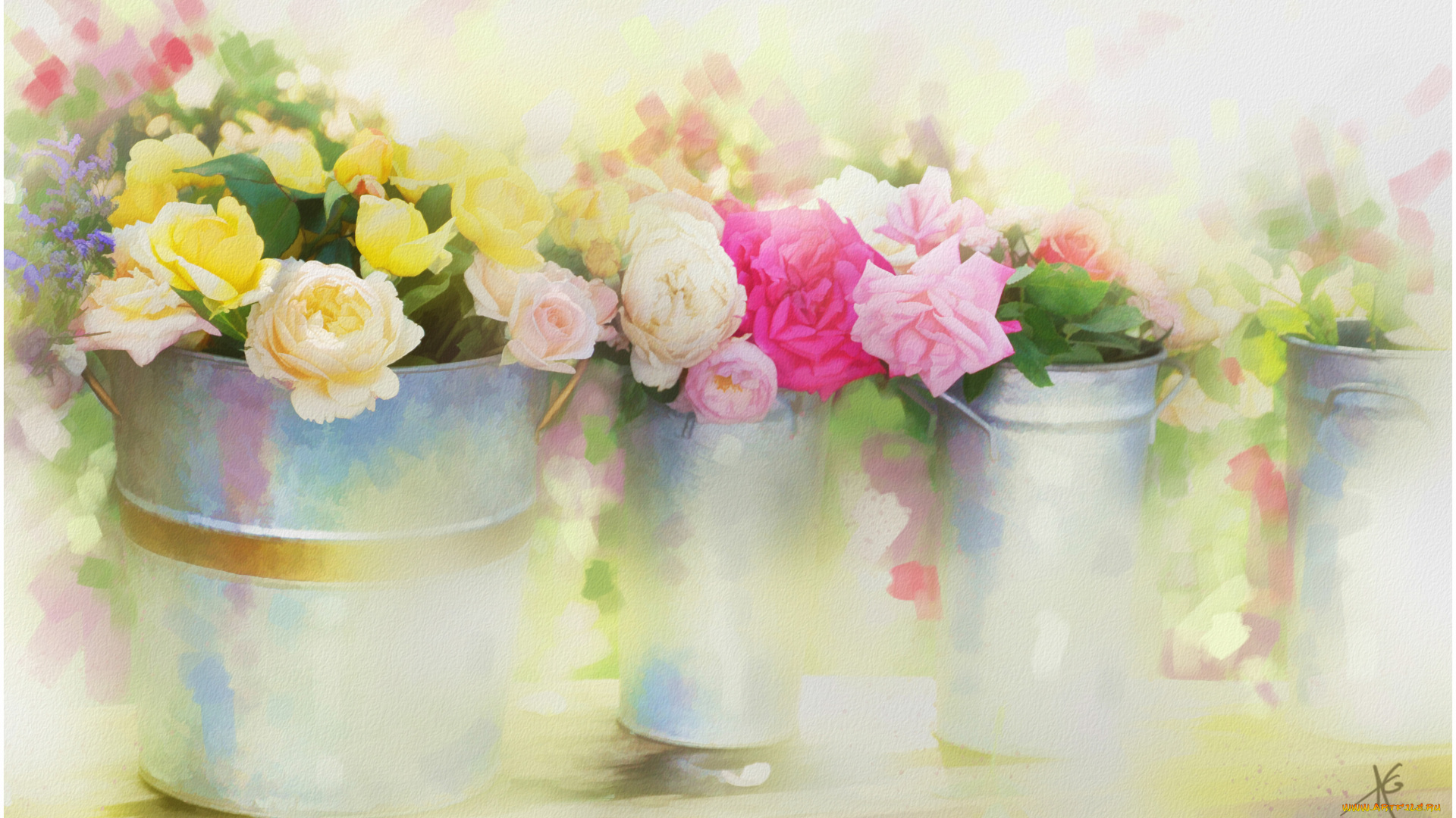 рисованные, цветы, розы