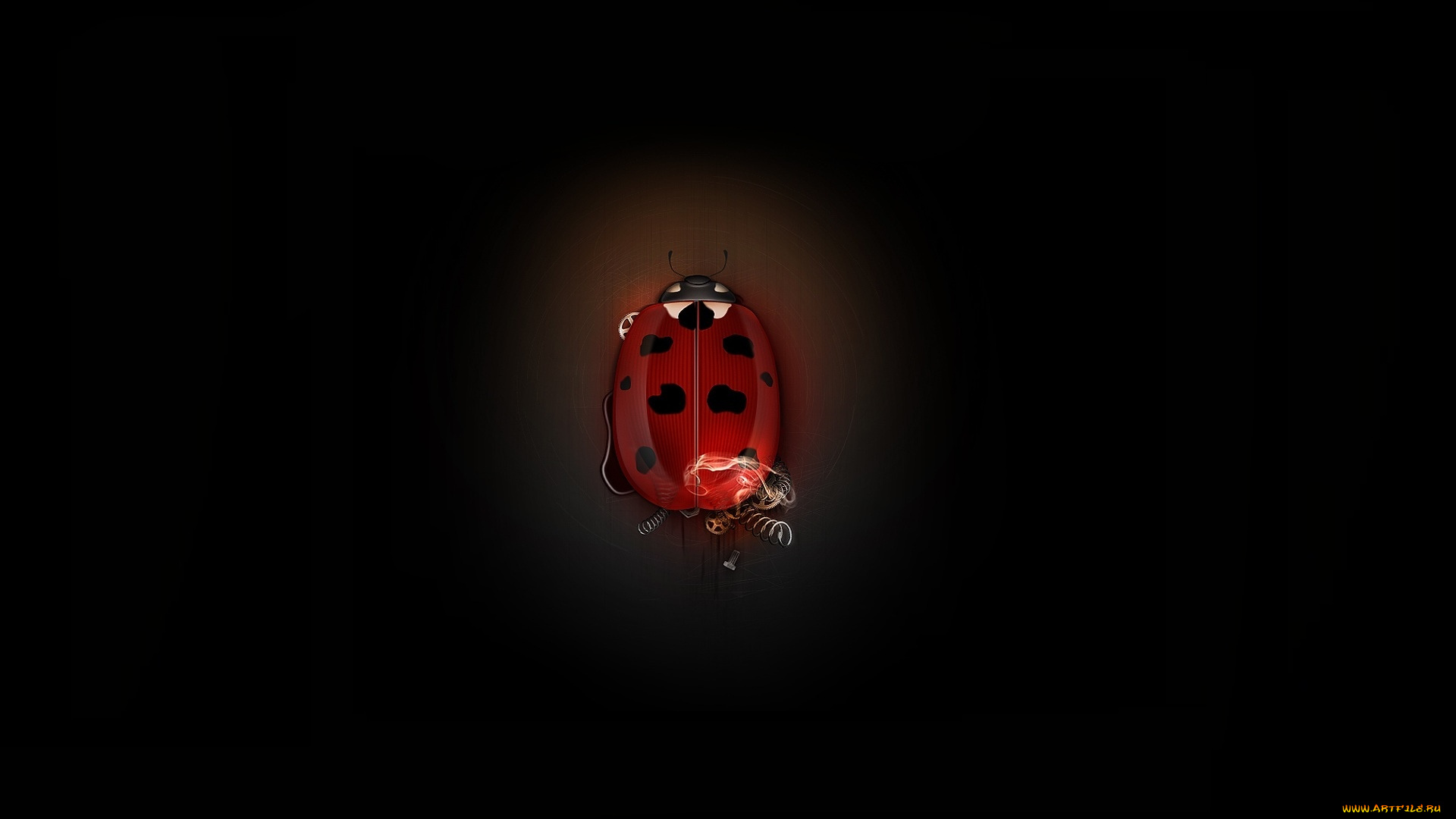 рисованные, минимализм, жук