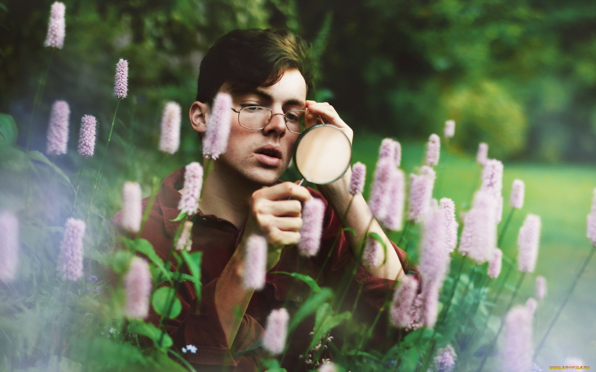 мужчины, -, unsort, учёный, очки, цветы, луг, лупа, парень