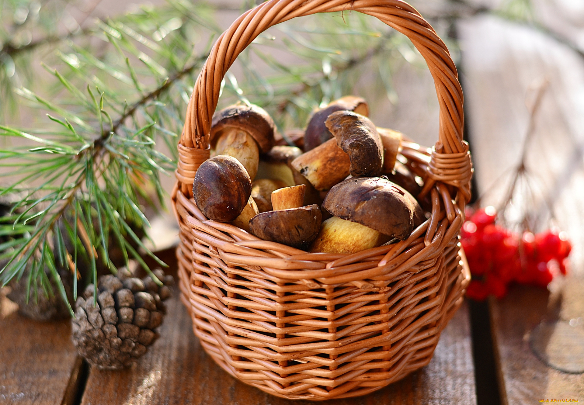 еда, грибы, , грибные, блюда, корзина, шишка, ветка