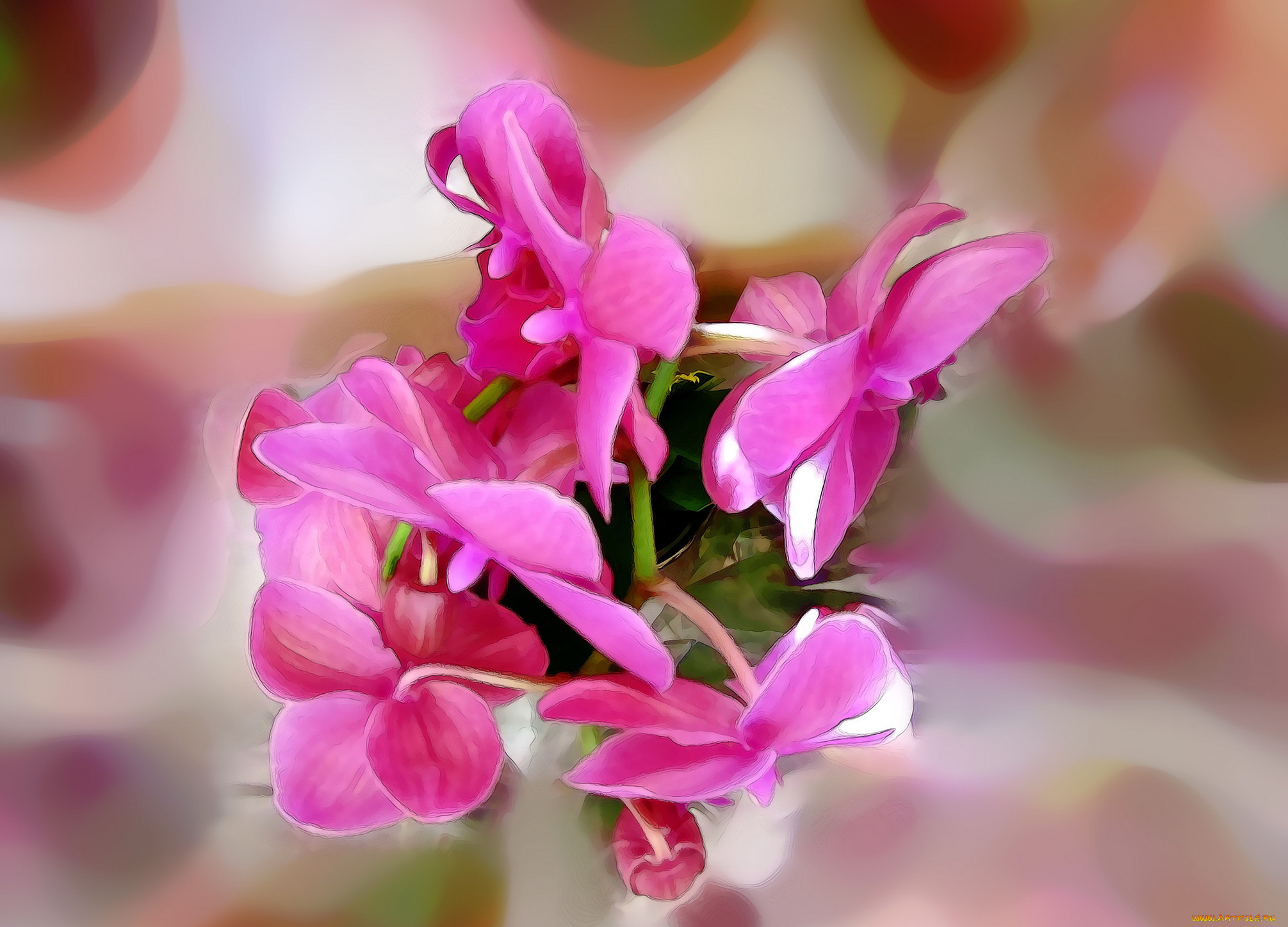 разное, компьютерный, дизайн