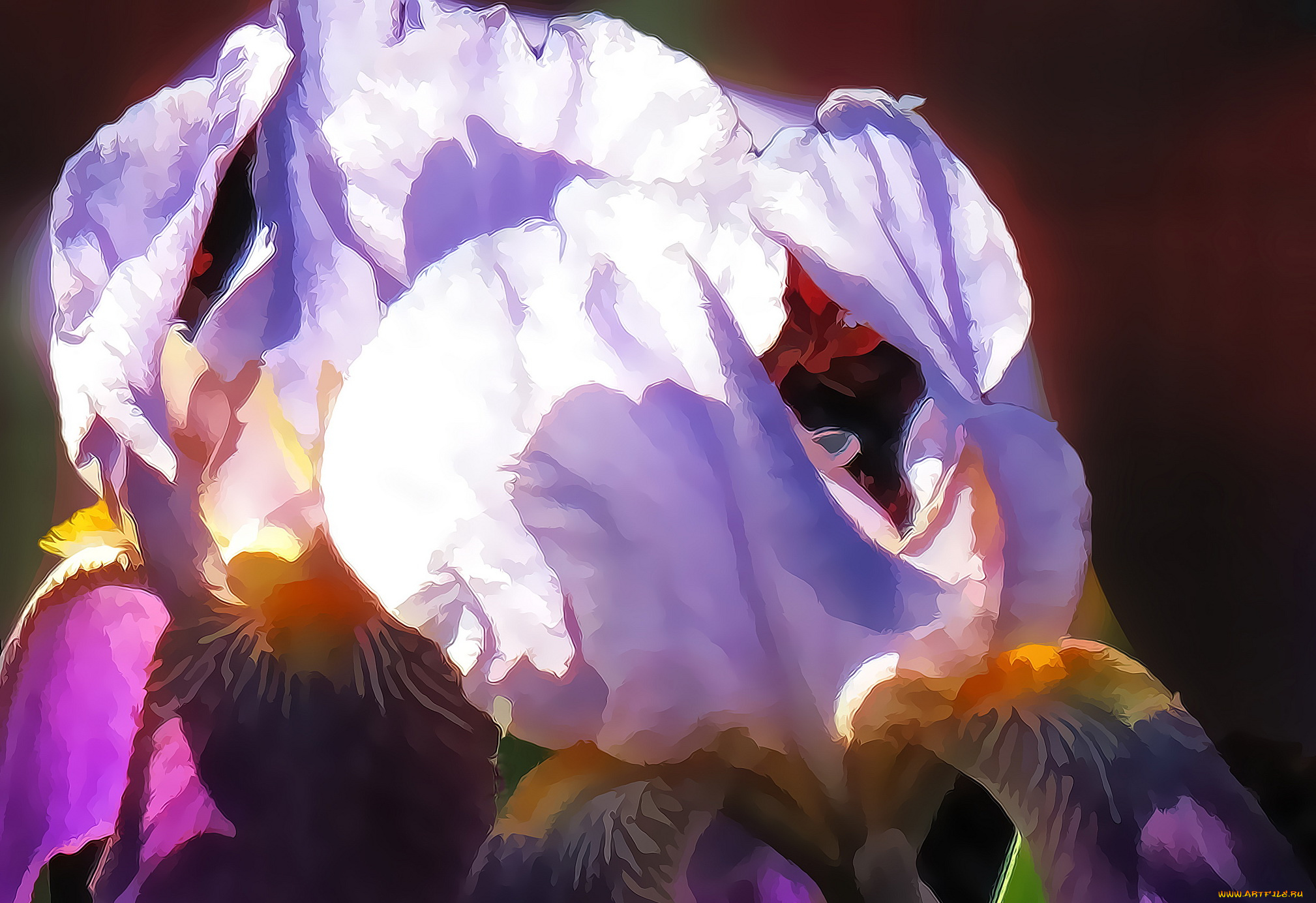 разное, компьютерный, дизайн, цветы, ирис