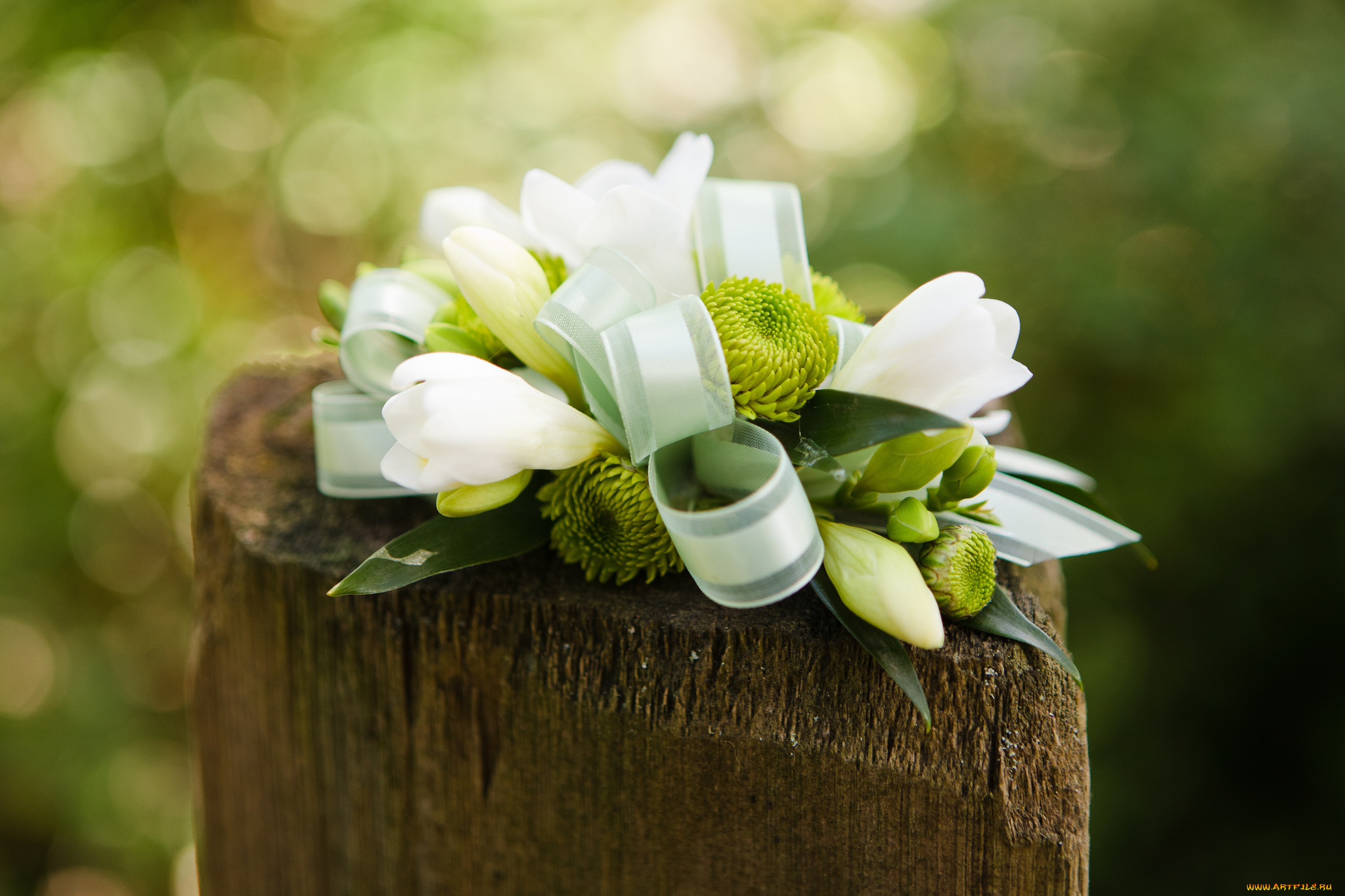 цветы, букеты, , композиции, букет