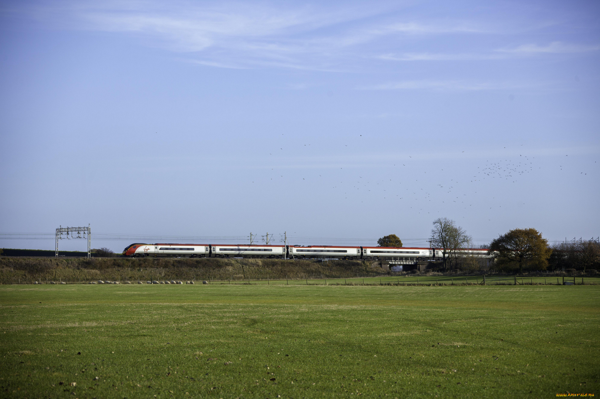 техника, поезда, рельсы, локомотив