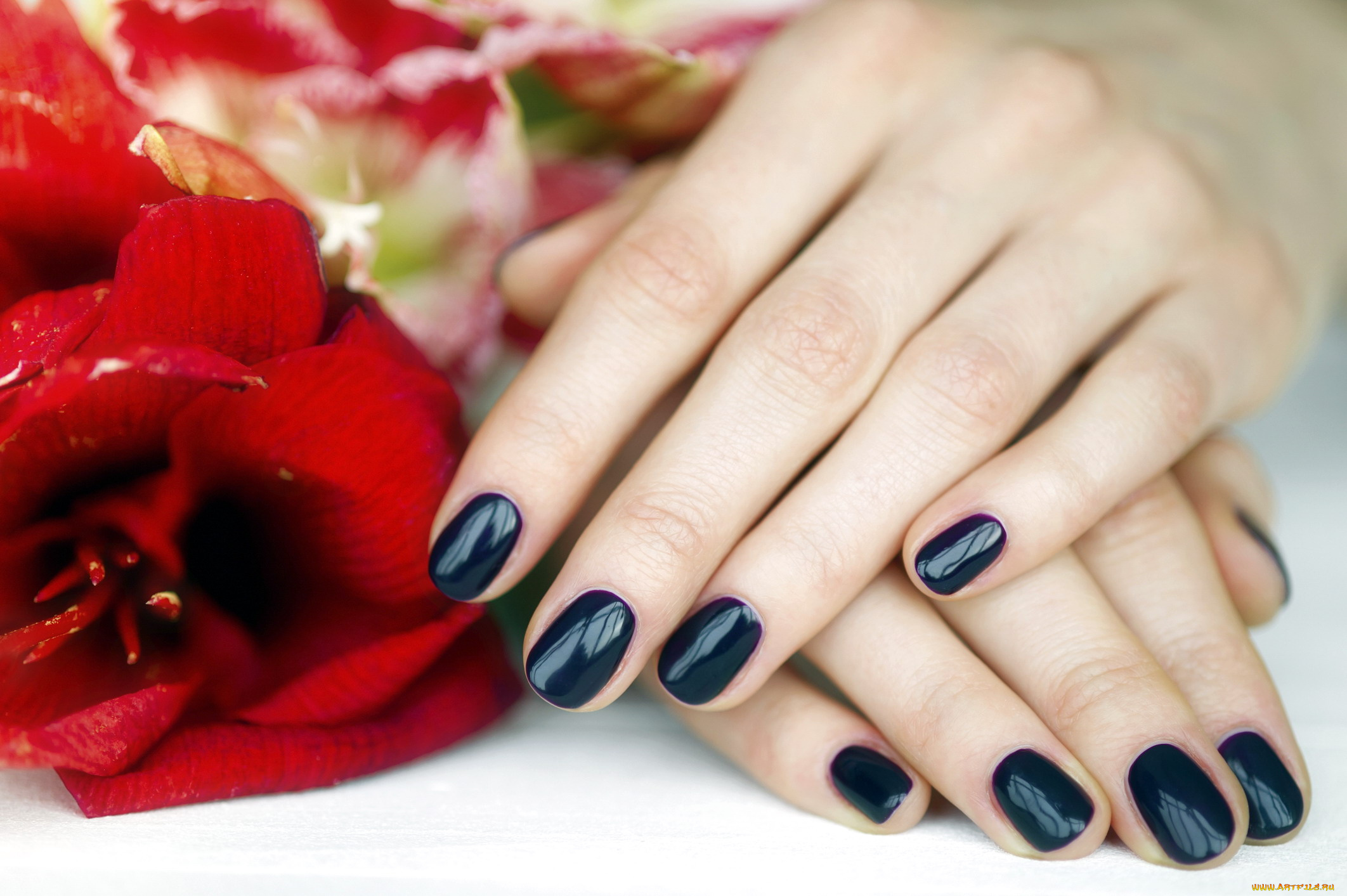 разное, руки, маникюр