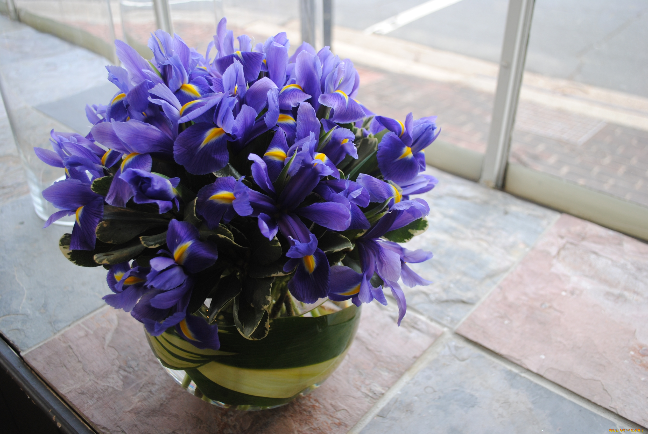 цветы, букеты, , композиции, букет, ирис