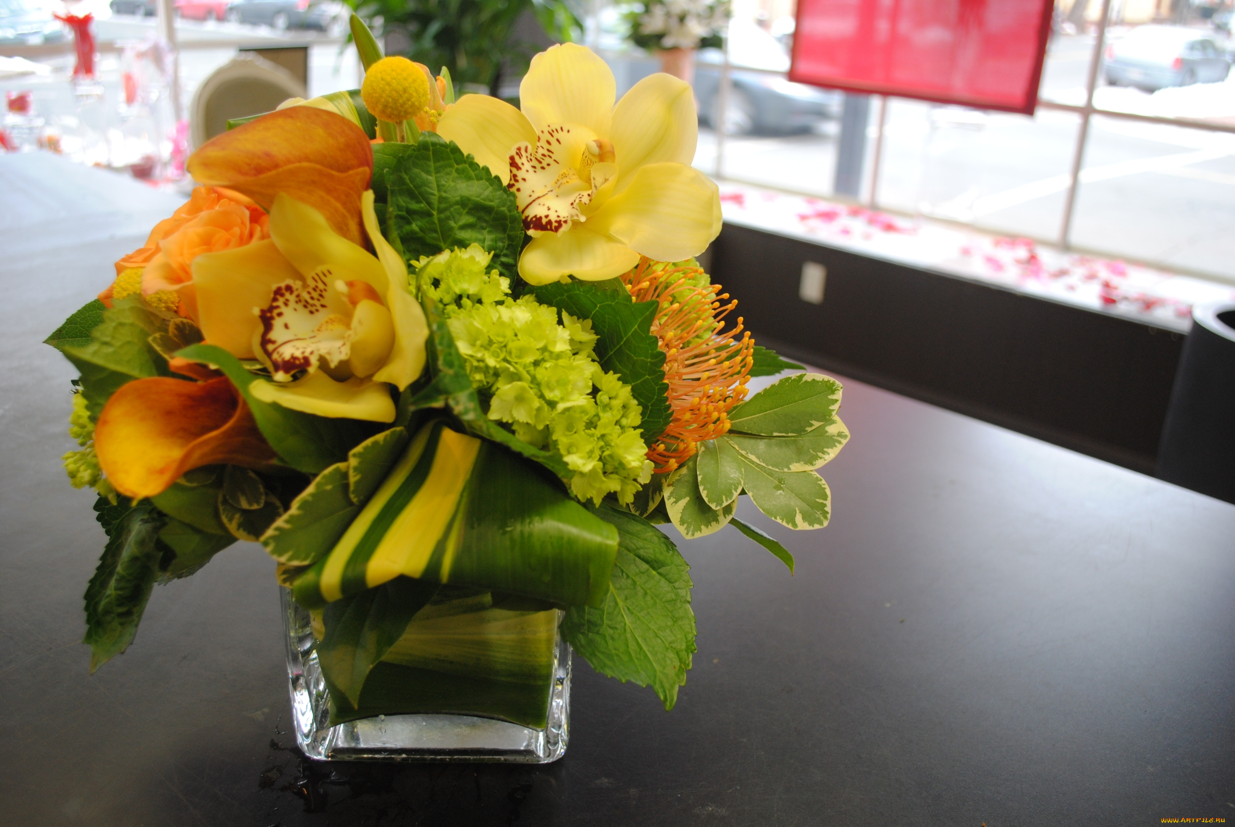 цветы, букеты, , композиции, каллы, букет, орхидея