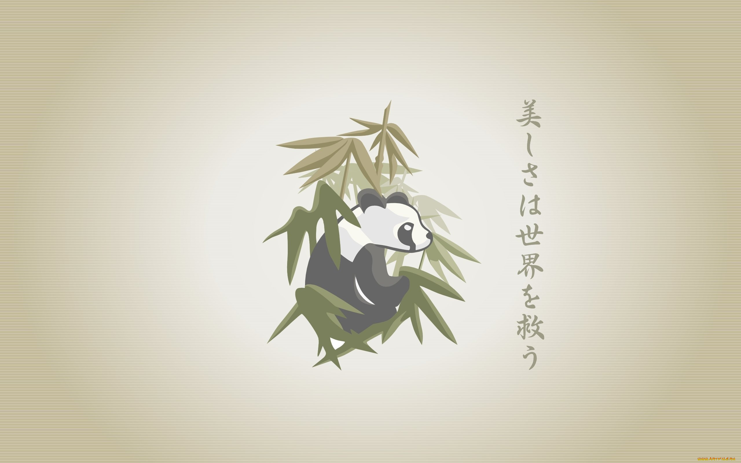 рисованные, минимализм, панда, бамбук