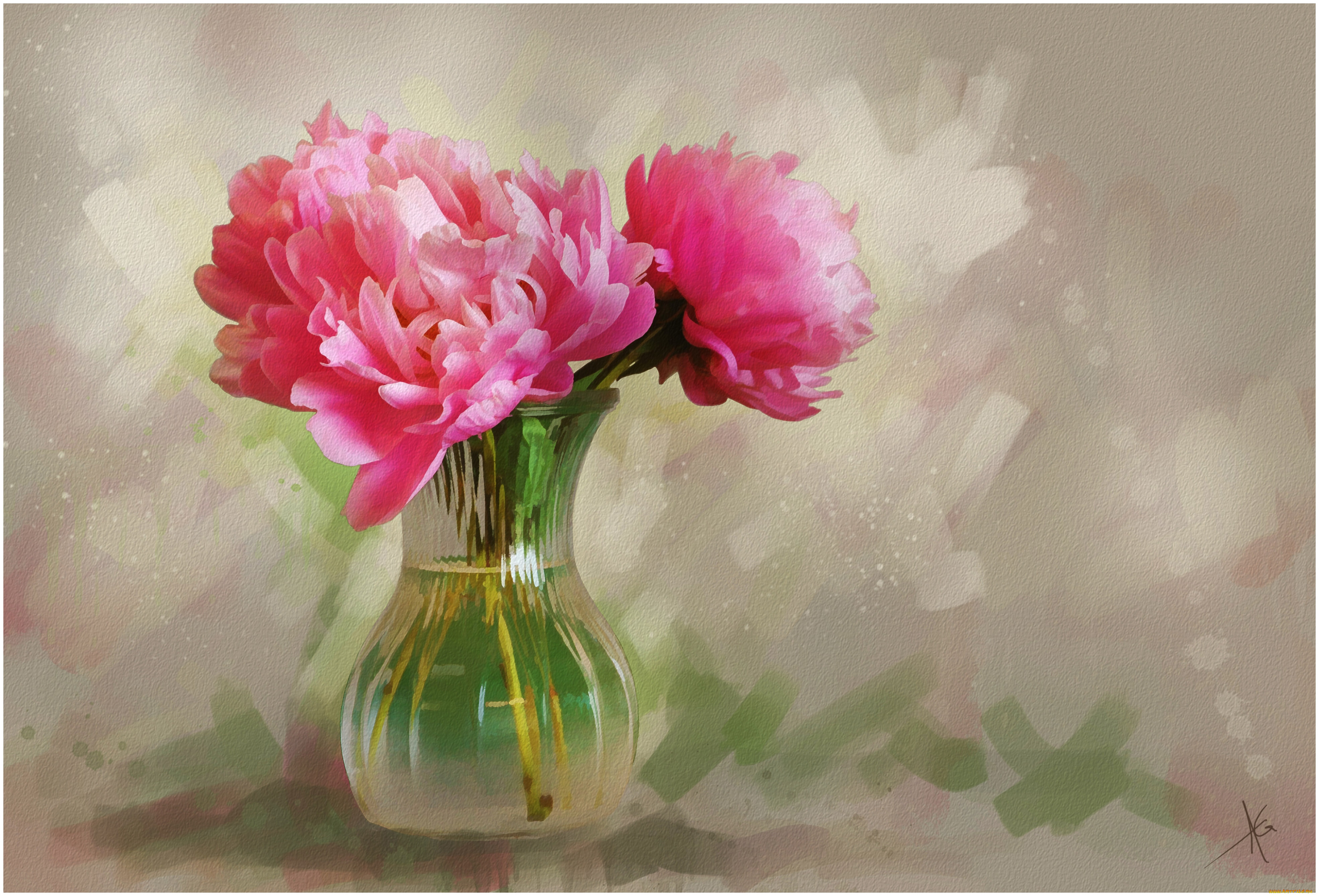 рисованные, цветы, пионы