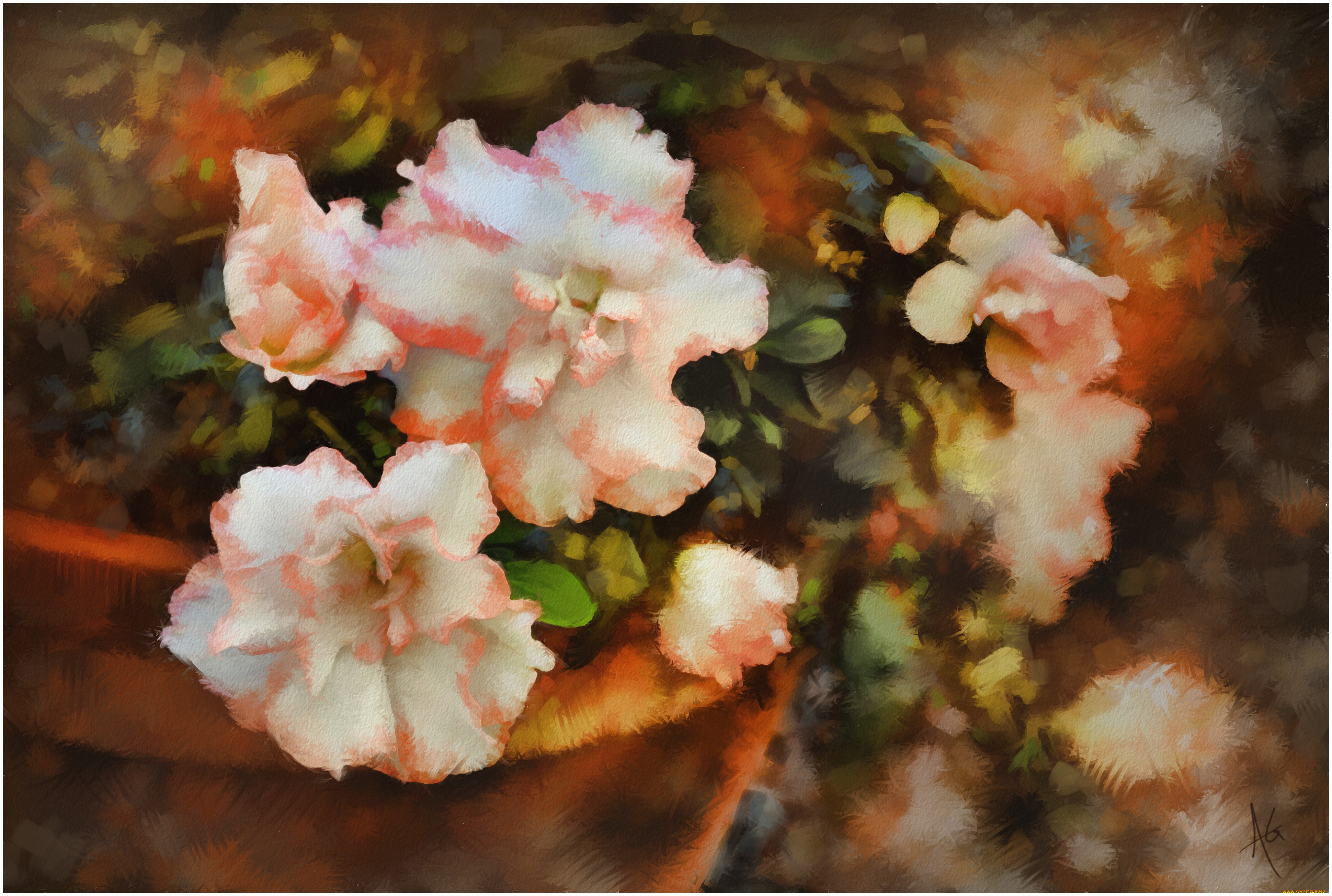 рисованные, цветы, бегония