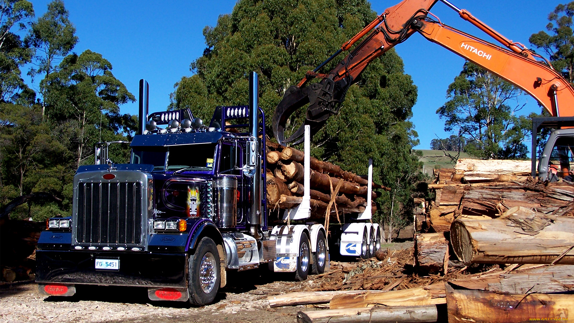 автомобили, peterbilt