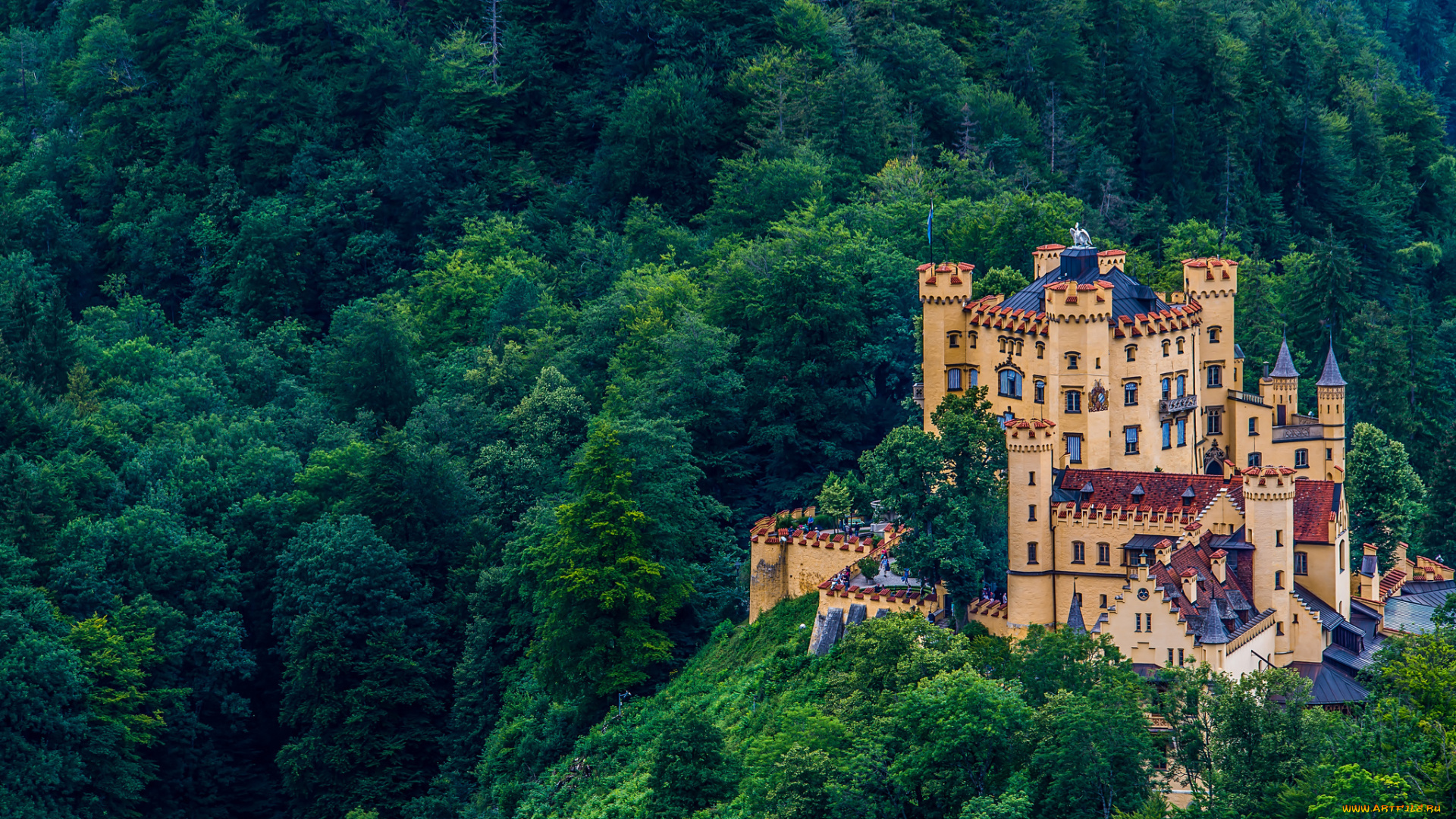 города, замки, германии, германия, лес, бавария, замок, хоэншвангау
