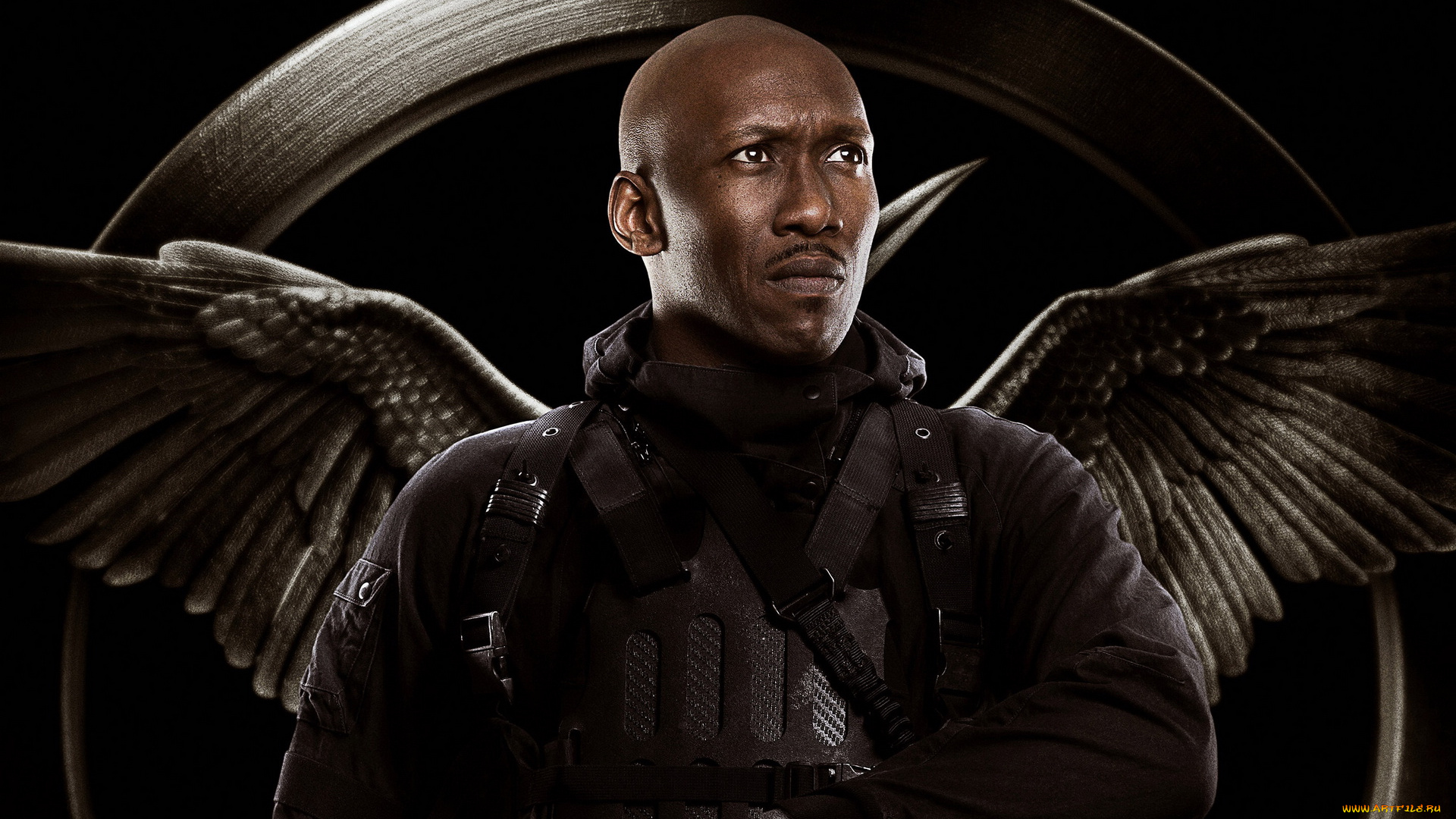 кино, фильмы, the, hunger, games, , mockingjay, -, part, 1, крылья