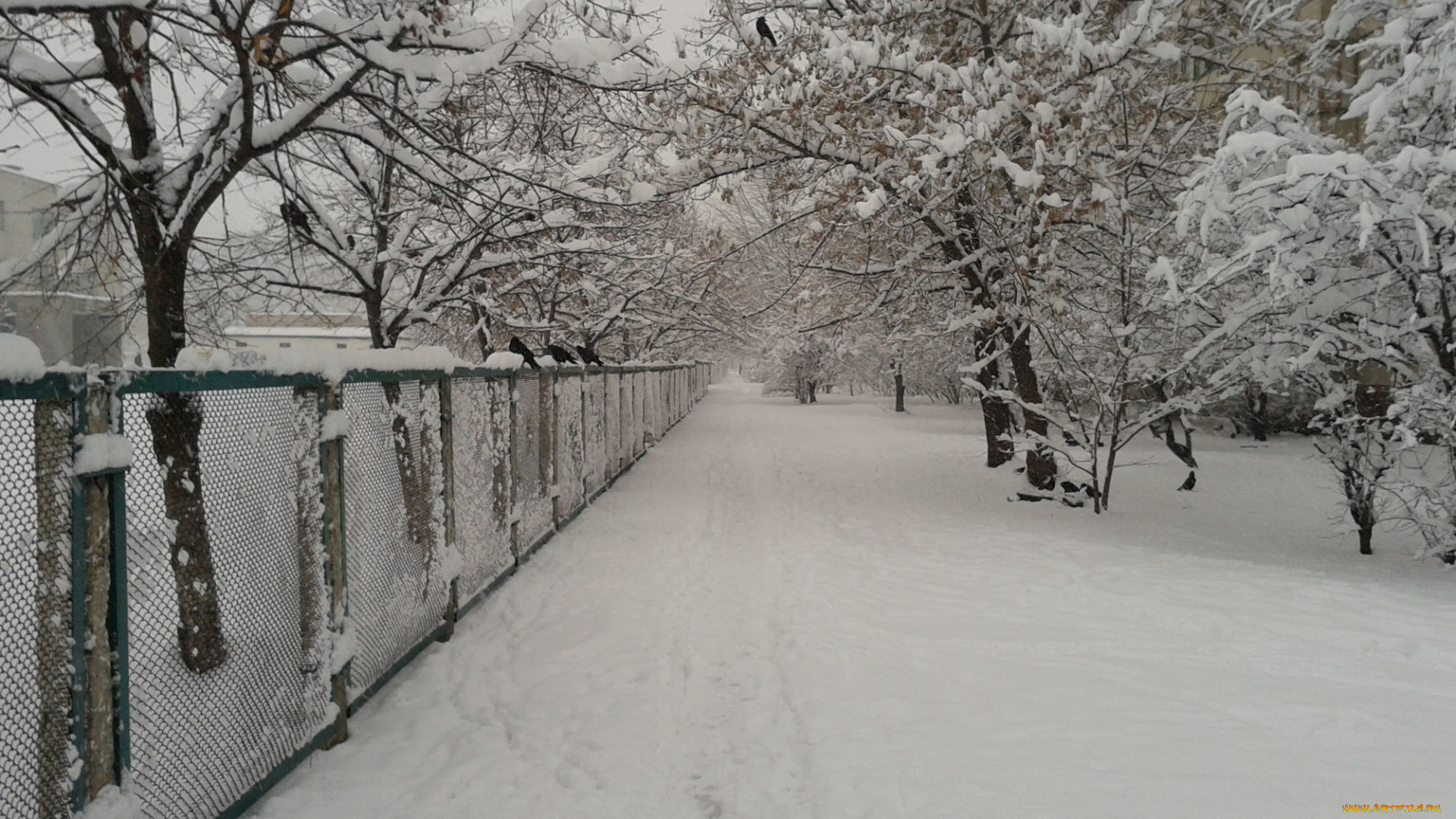 зима, в, киеве, природа, дороги, дорога, снег, киев, троещина