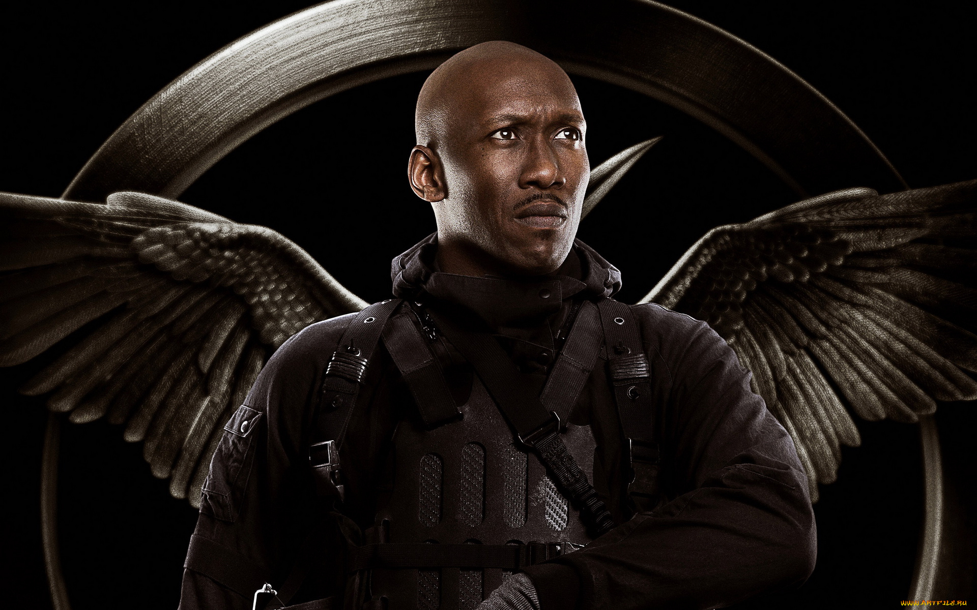 кино, фильмы, the, hunger, games, , mockingjay, -, part, 1, крылья